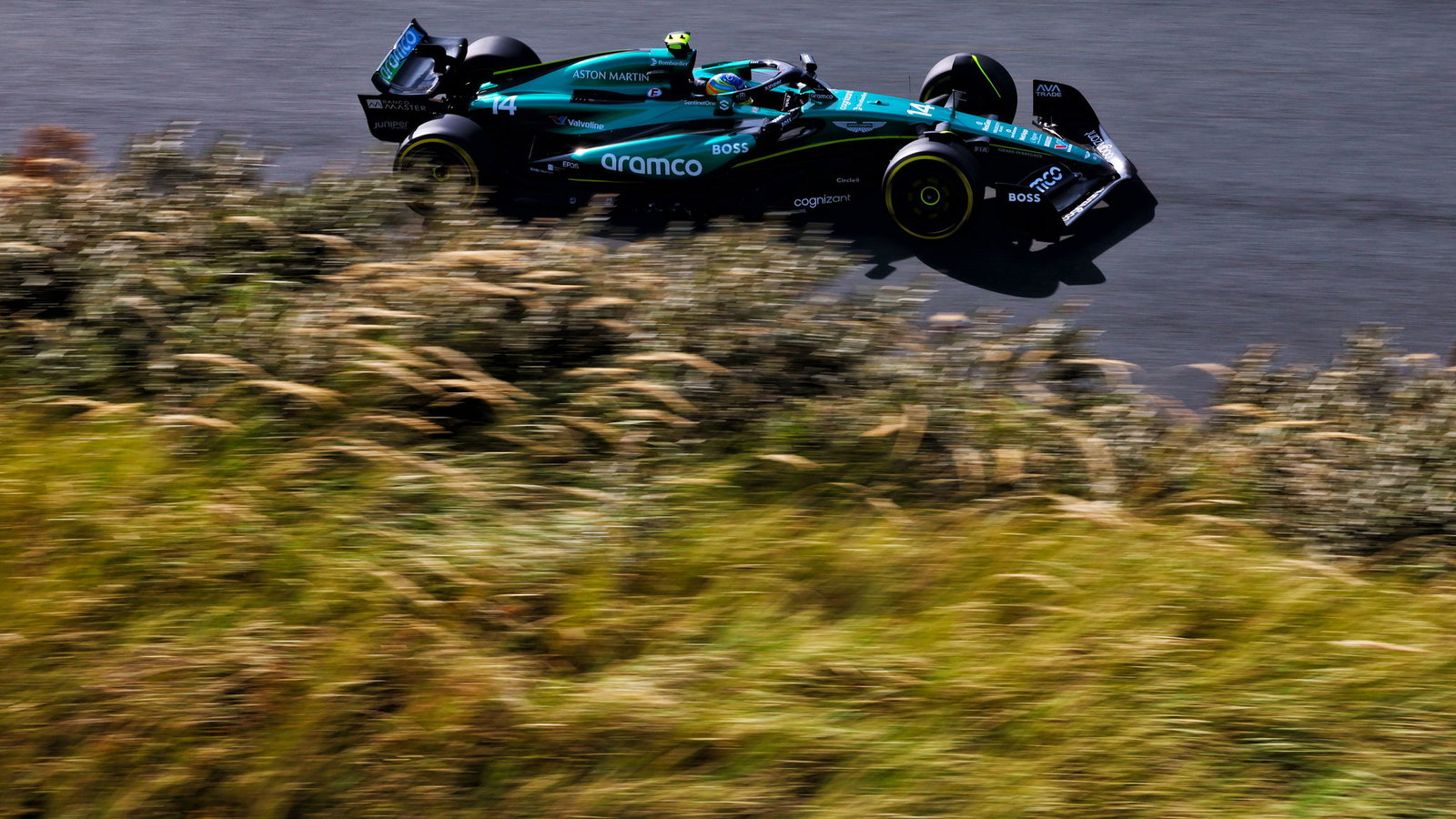 Fernando Alonso