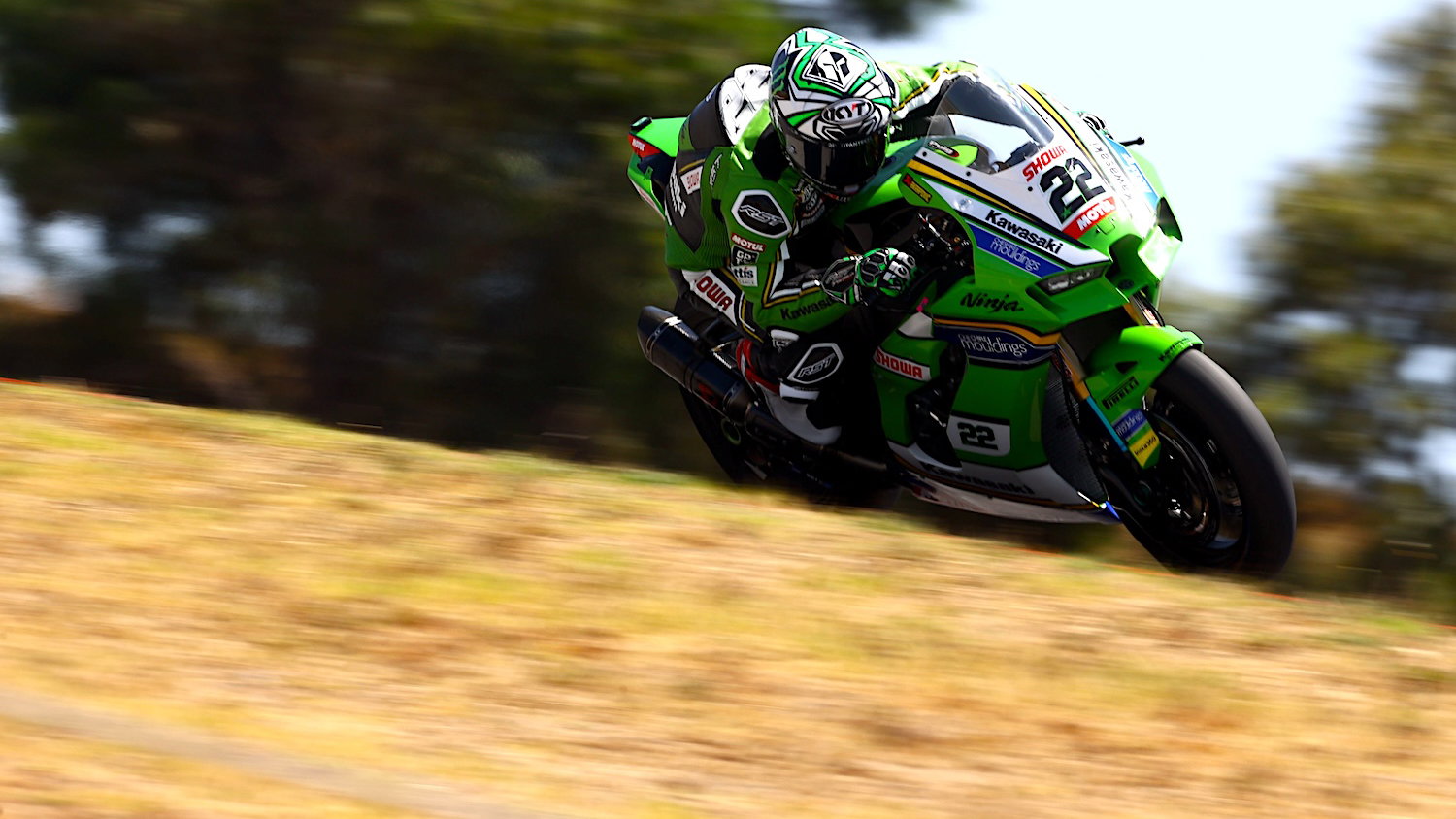 Alex Lowes, Kawasaki Racing Team, Kawasaki ZX-10RR, 2024 WorldSBK, action [Gold & Goose]