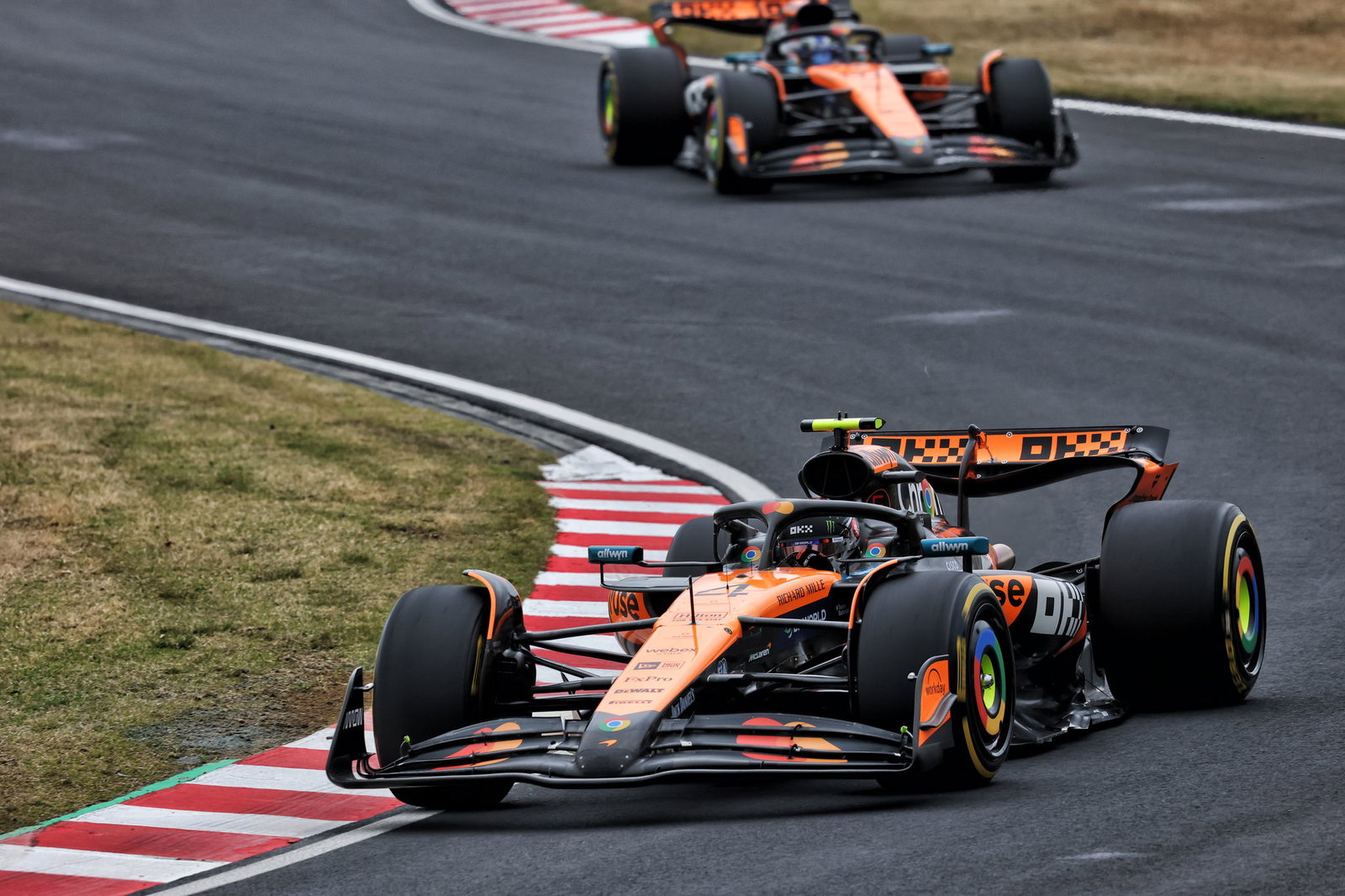 Lando Norris