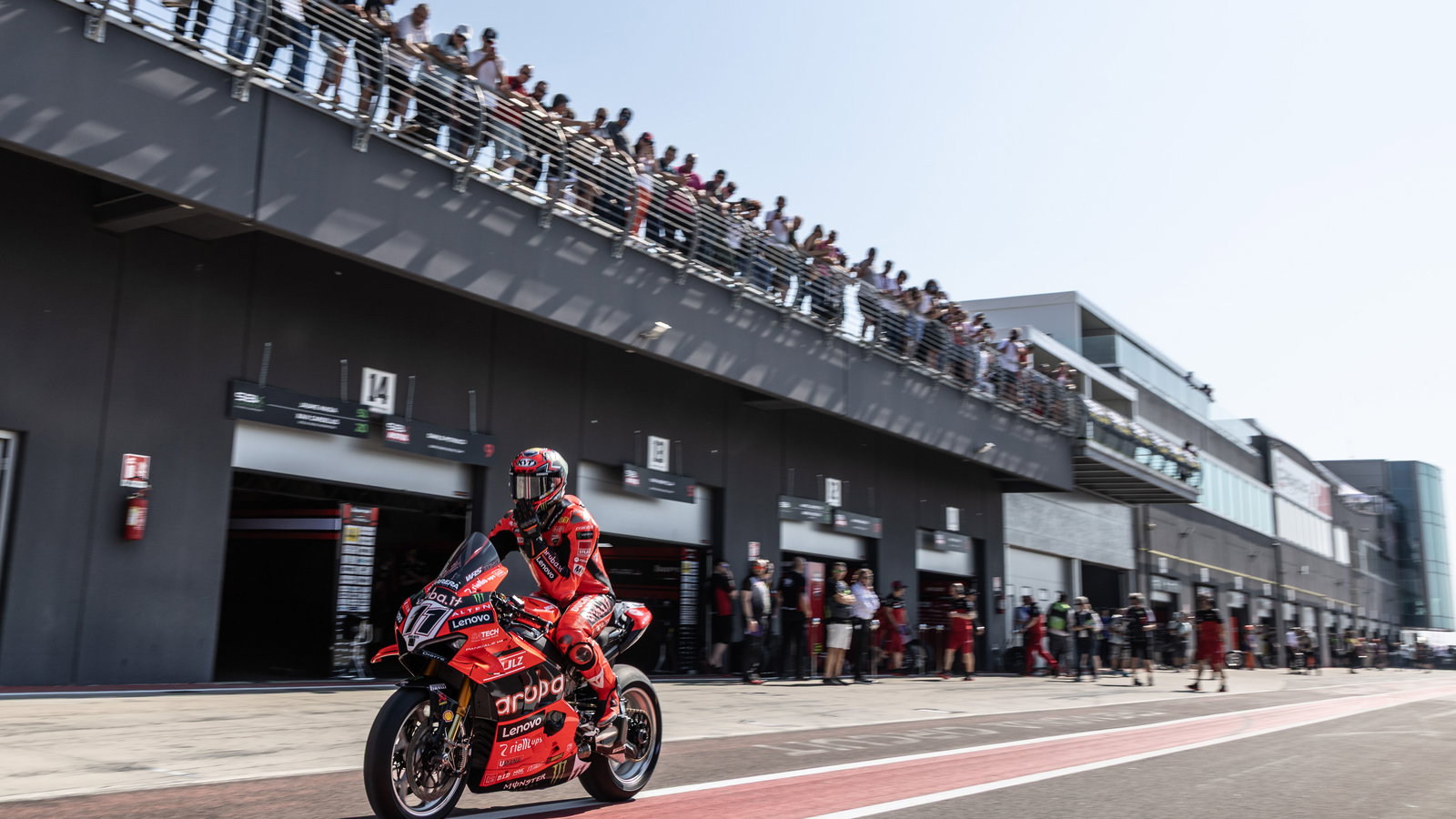 Nicolo Bulega, 2025 Italian WorldSBK. Credit: Gold and Goose.