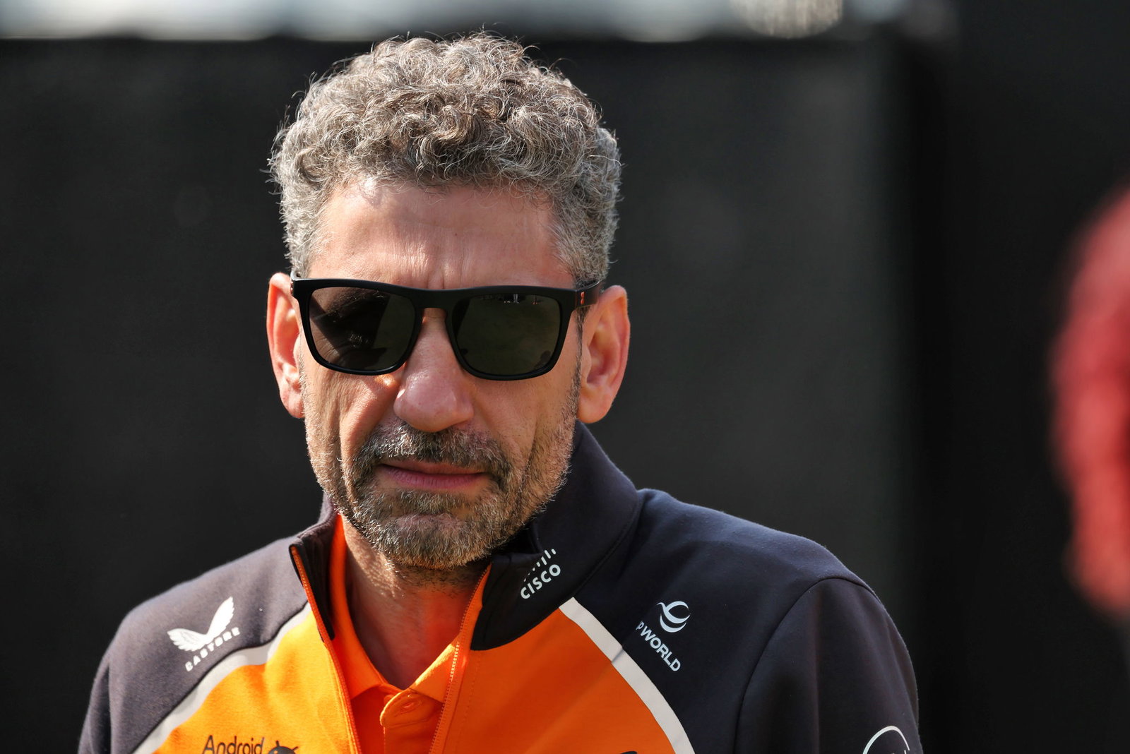 McLaren's Andrea Stella