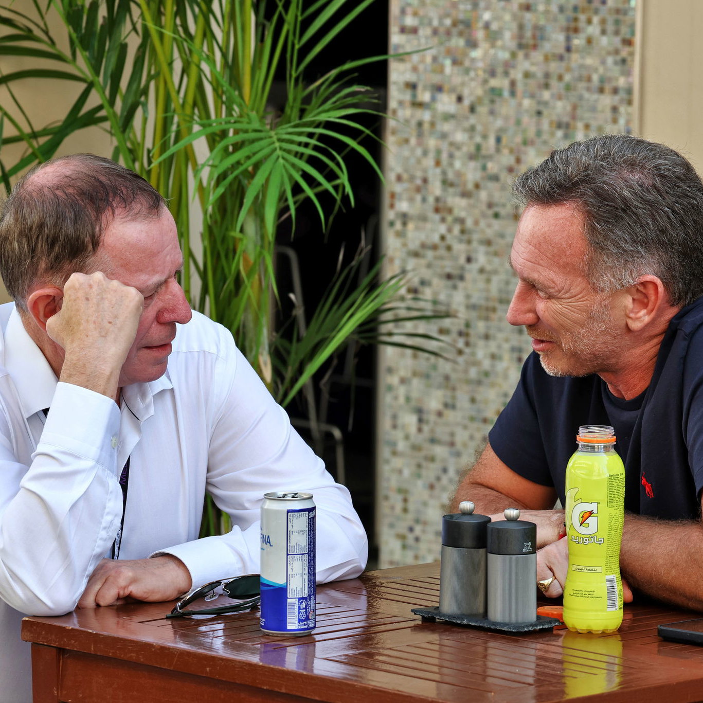 Martin Brundle and Christian Horner 