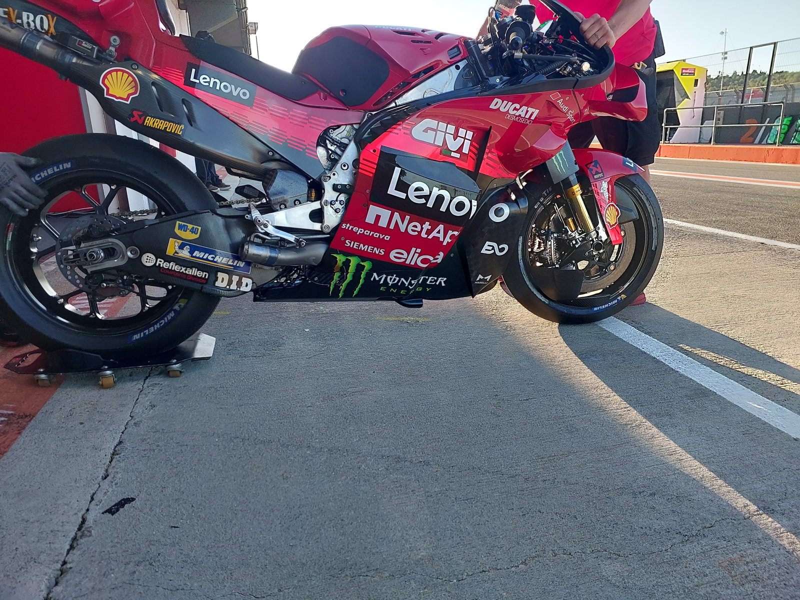Bulega