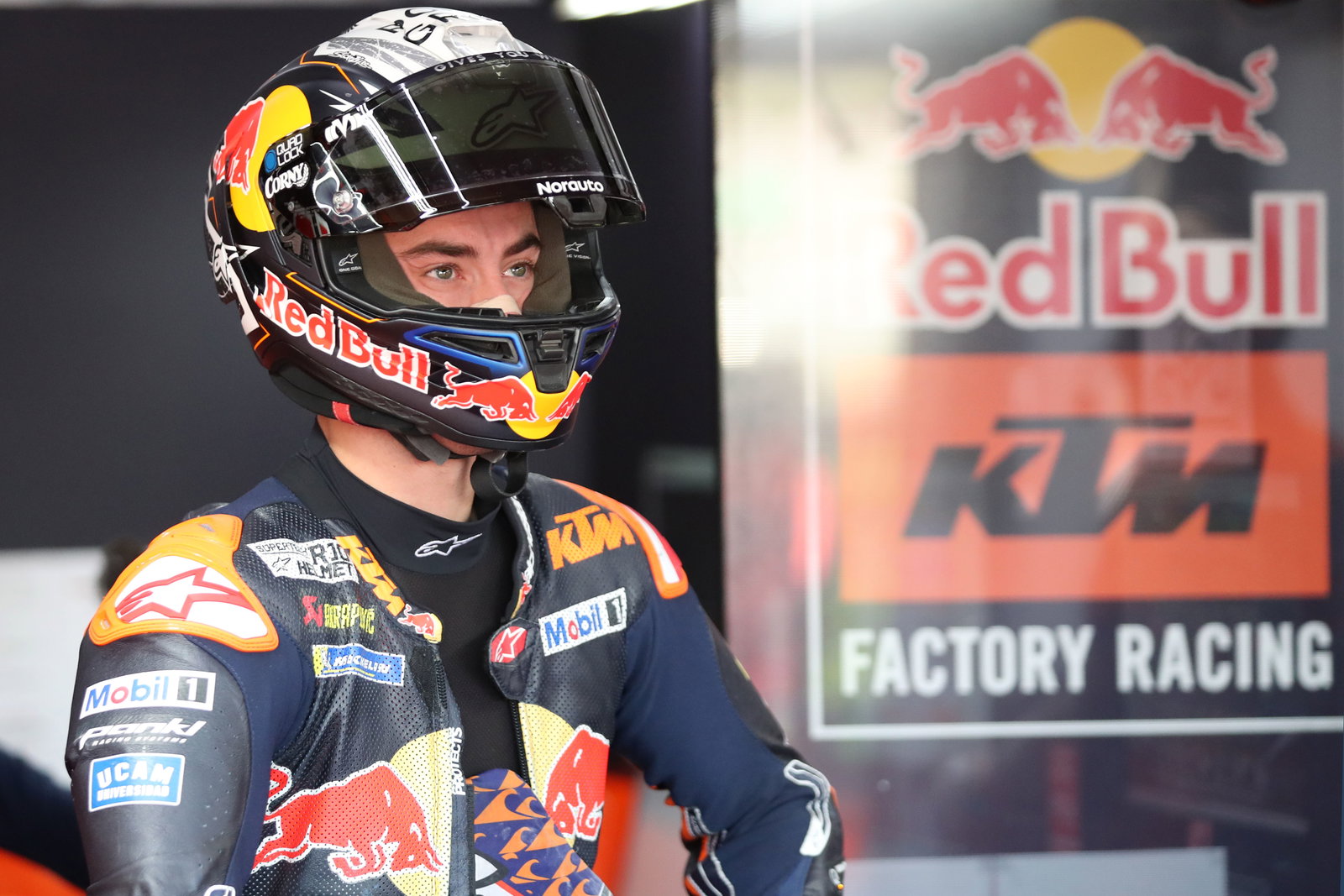 Pedro Acosta, KTM Factory Racing, 2025 Valencia MotoGP