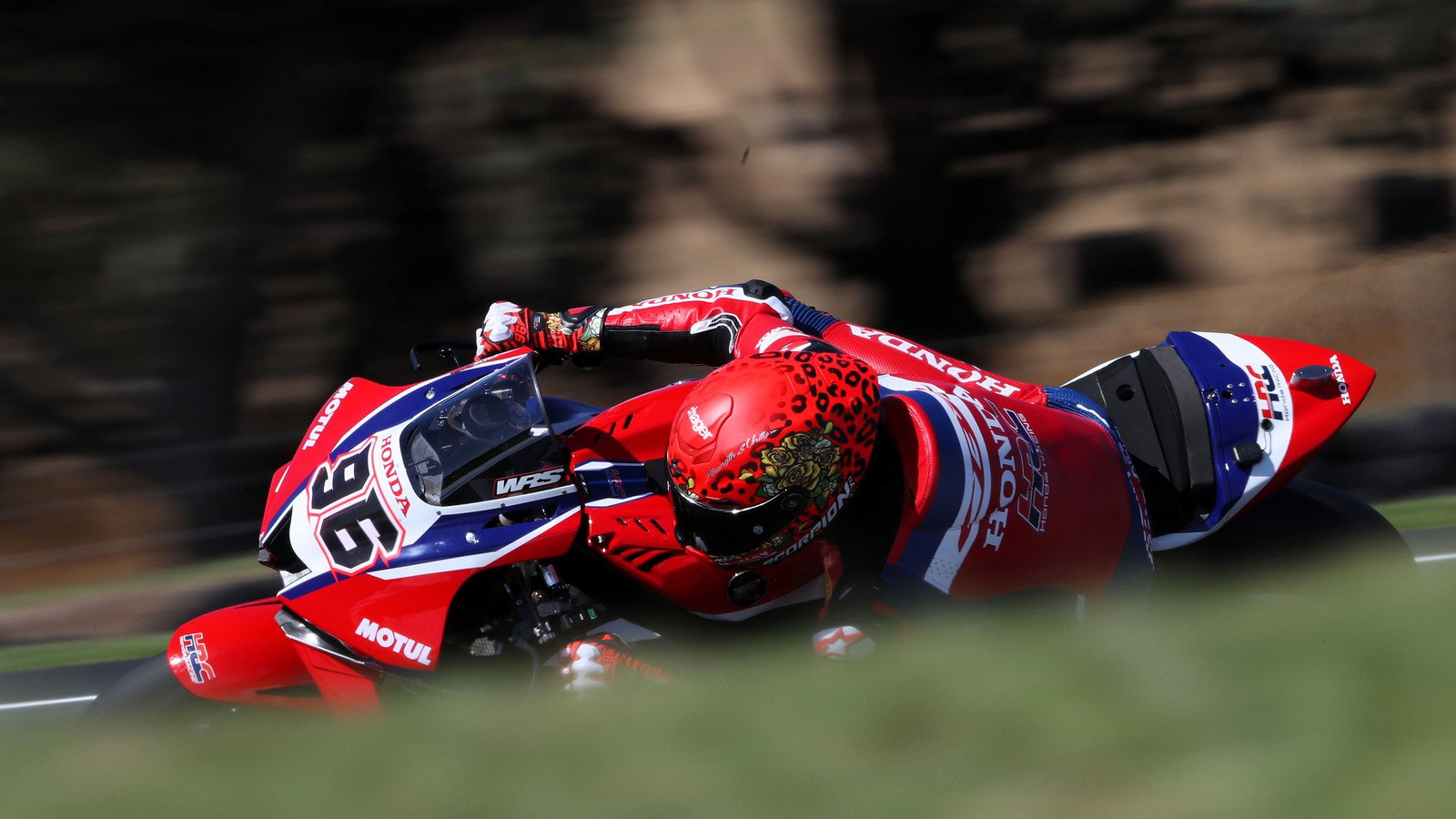 Jake Dixon, 2026 Phillip Island WorldSBK Test (Gold&Goose).