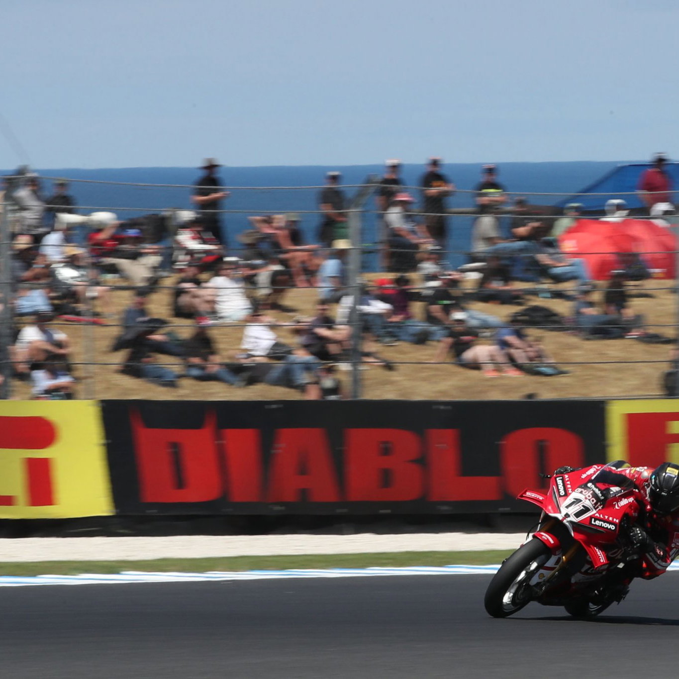 Nicolo Bulega, 2026 Australian WorldSBK. Credit: Gold and Goose.