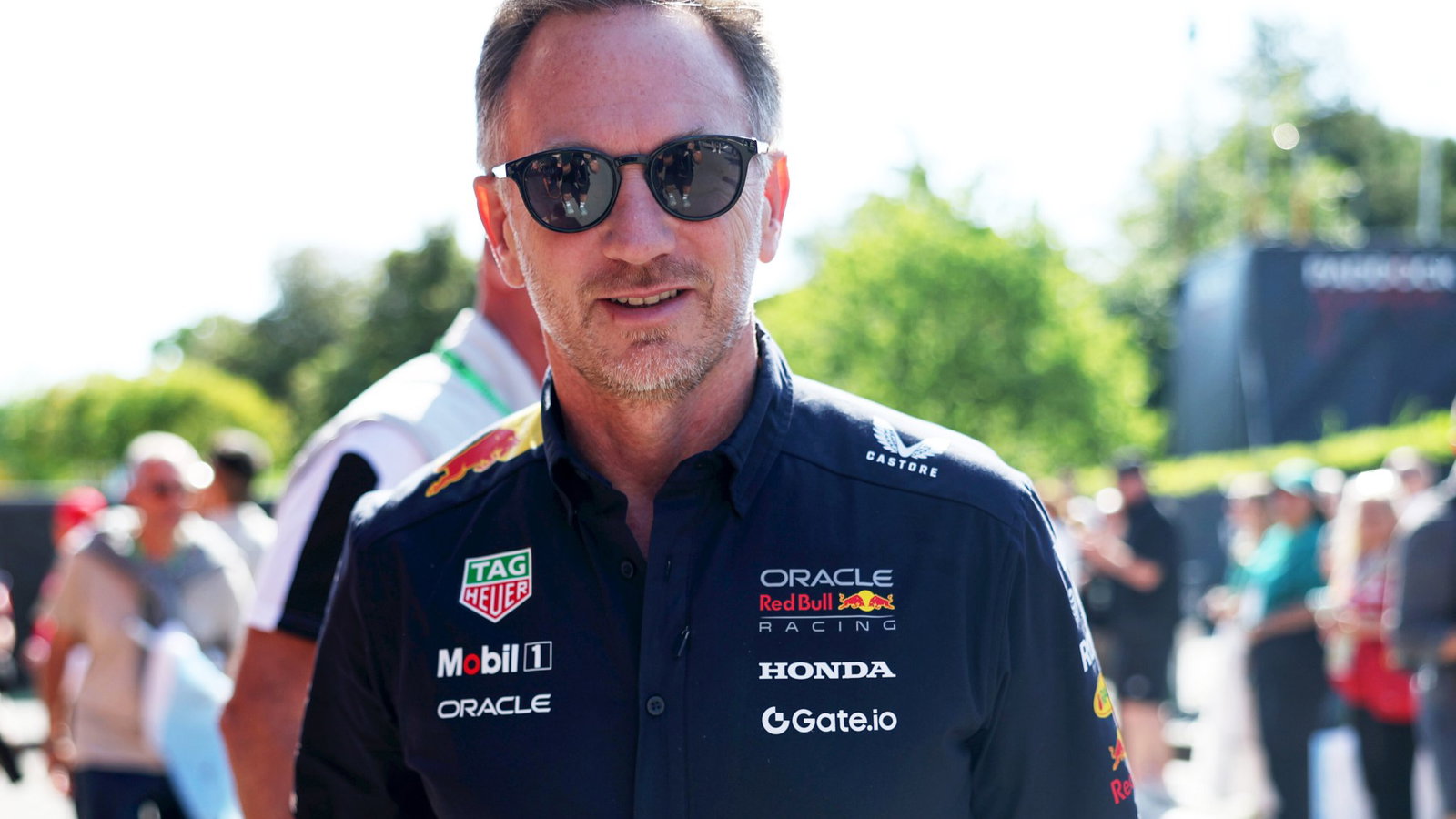 Former Red Bull boss Horner is seeking a return to F1 