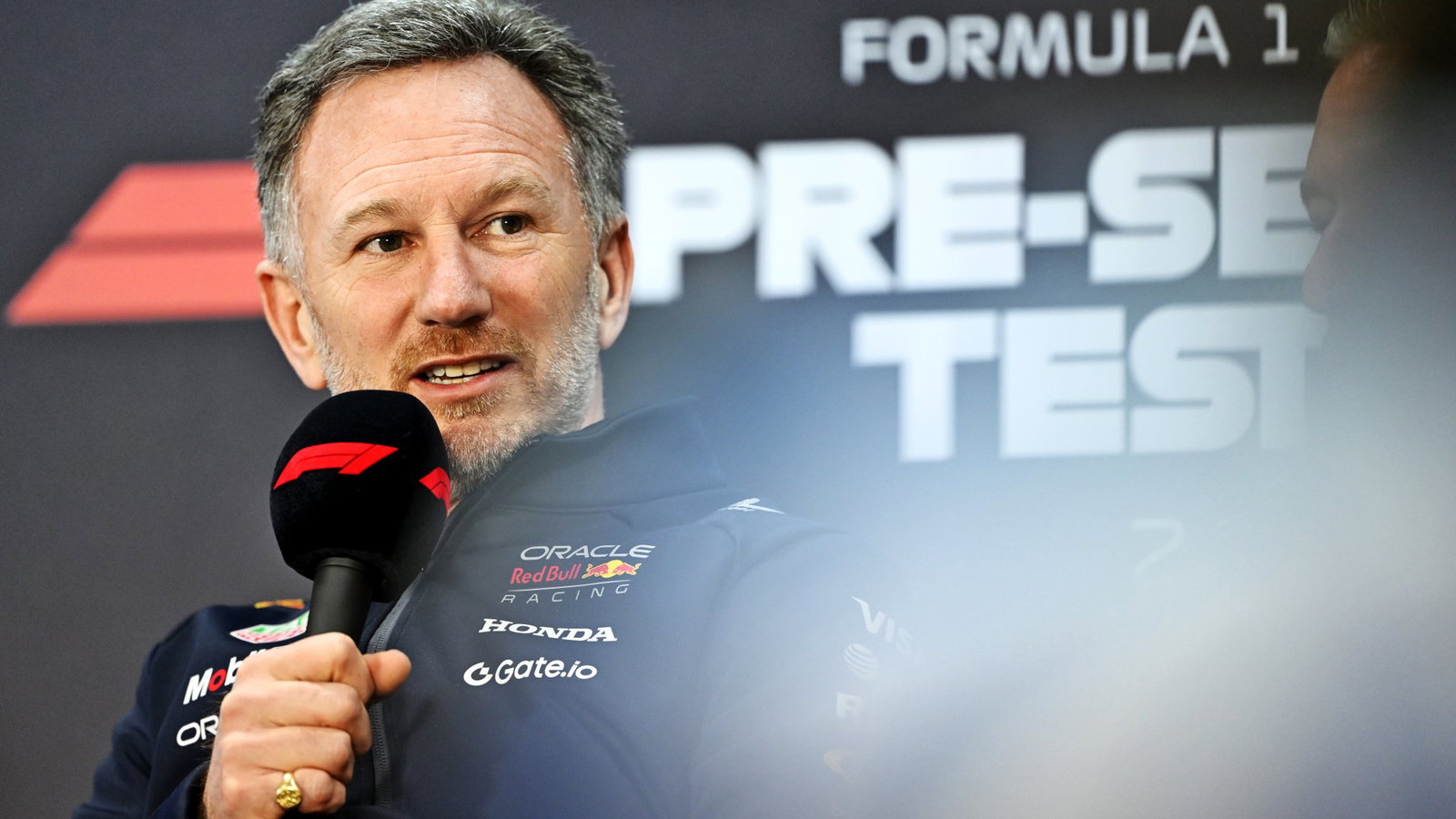 Horner has been out of a job in F1 since being sacked by Red Bull in July last year