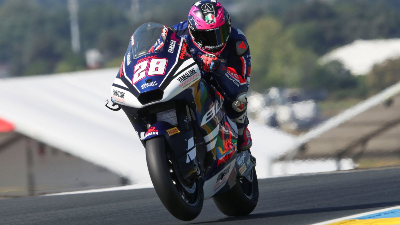 Izan Guevara, 2026, Moto2, French GP, pole position
