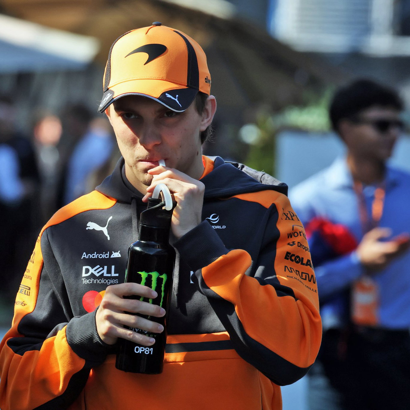 Red Bull is said to be interested in Piastri 