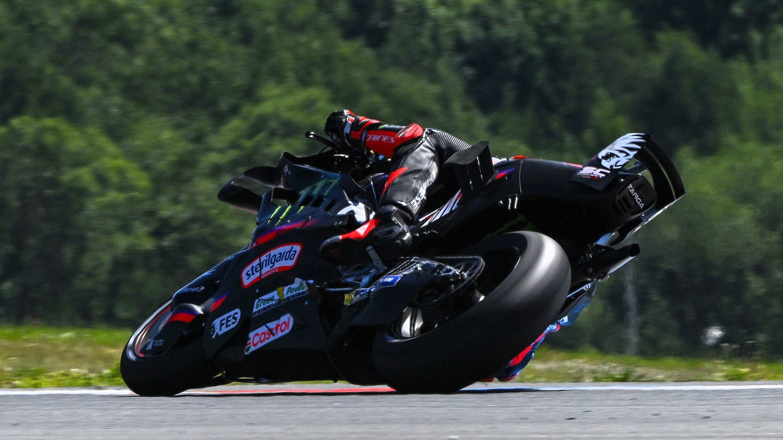 Marco Bezzecchi, 2026 Brno MotoGP.