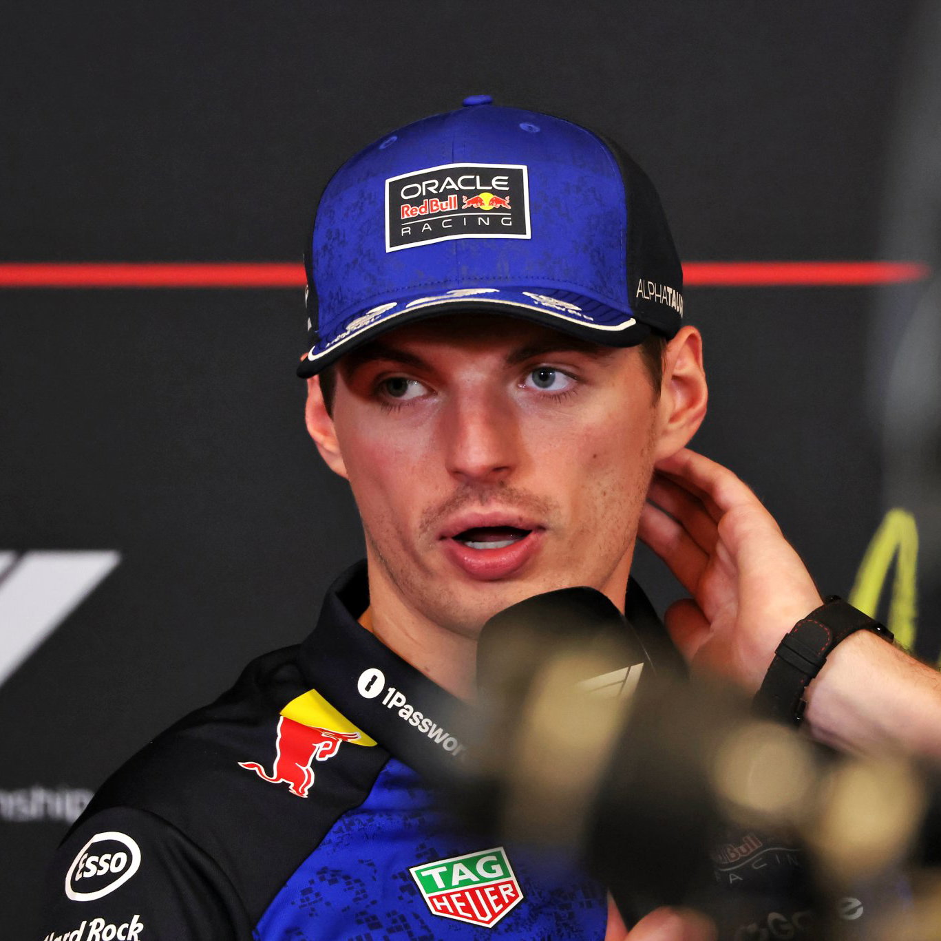 Verstappen has backed the FIA 
