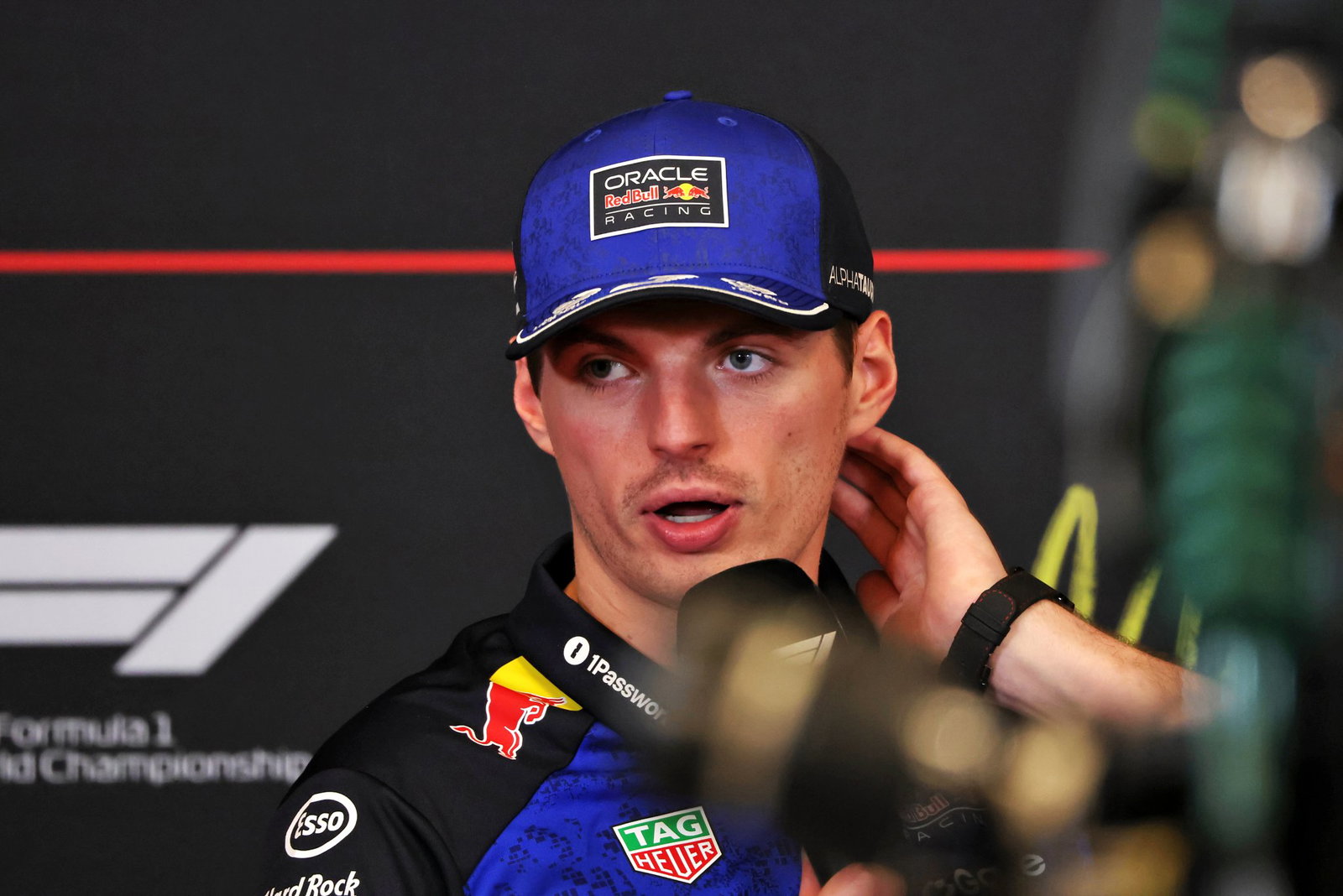 Verstappen has backed the FIA 