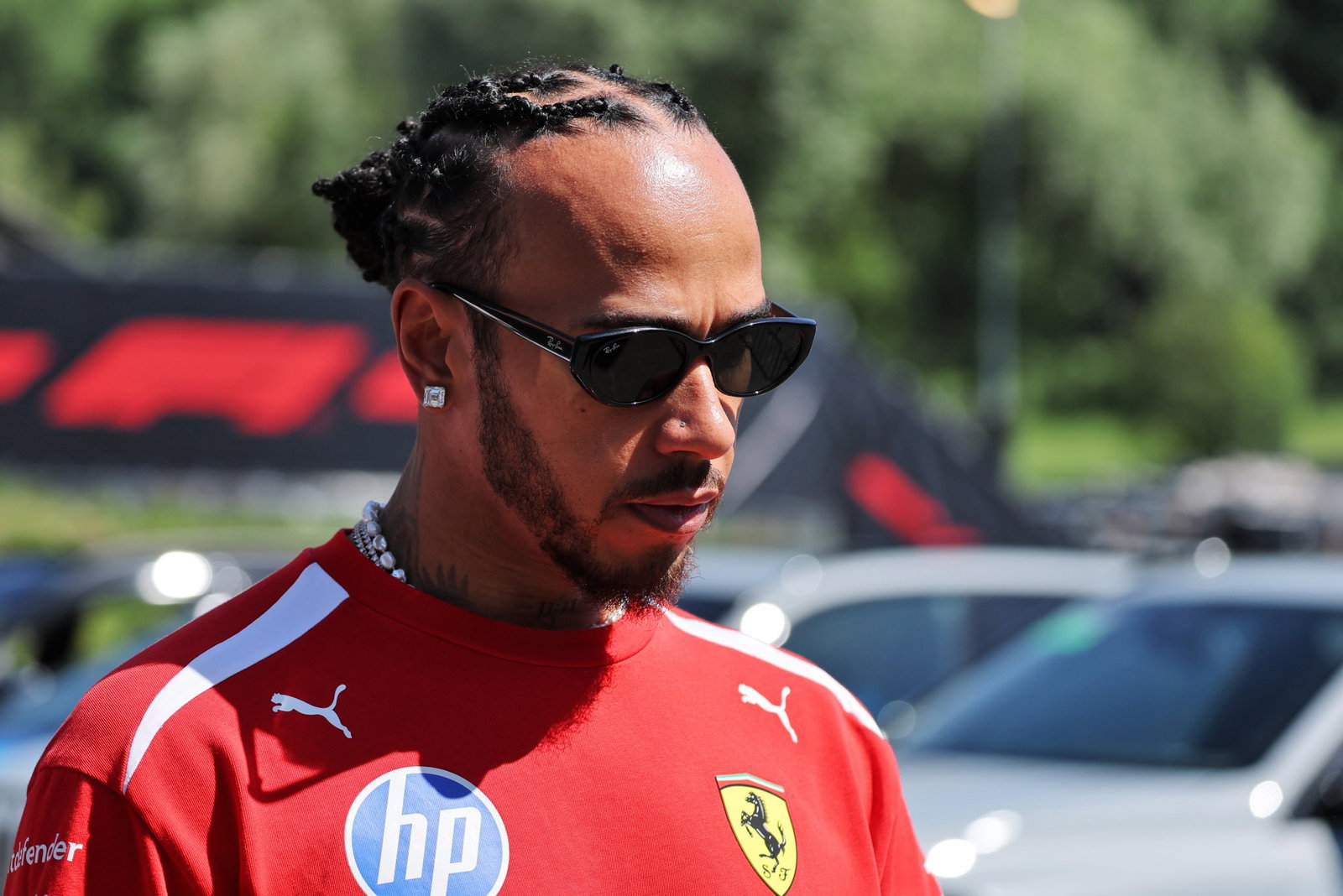 Hamilton revealed he injured his neck in a crash last year 