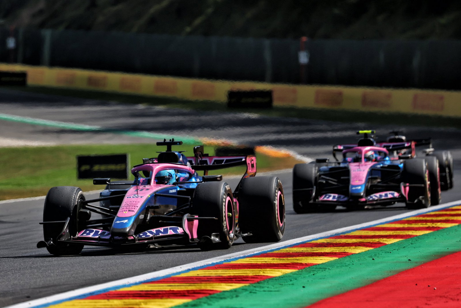 Gasly leads Colapinto