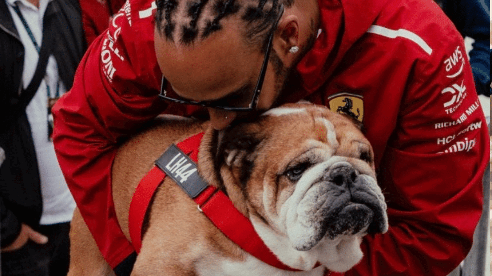 Lewis Hamilton and Roscoe at last year's British Grand Prix