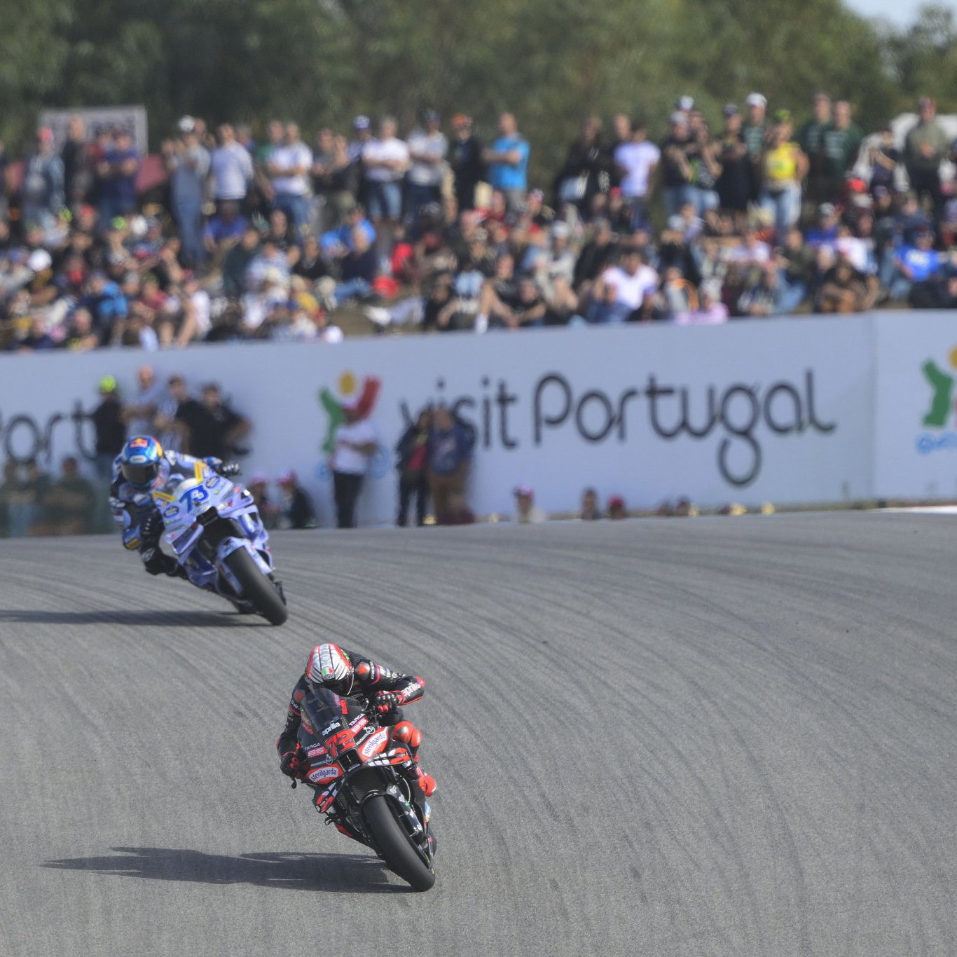Marco Bezzecchi leads Alex Marquez, 2025 MotoGP Portuguese Grand Prix. Credit: Gold and Goose.