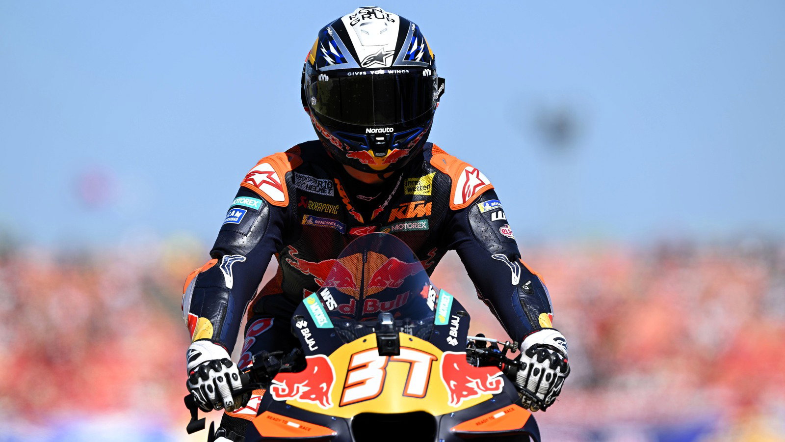 Pedro Acosta, 2026 Misano MotoGP.