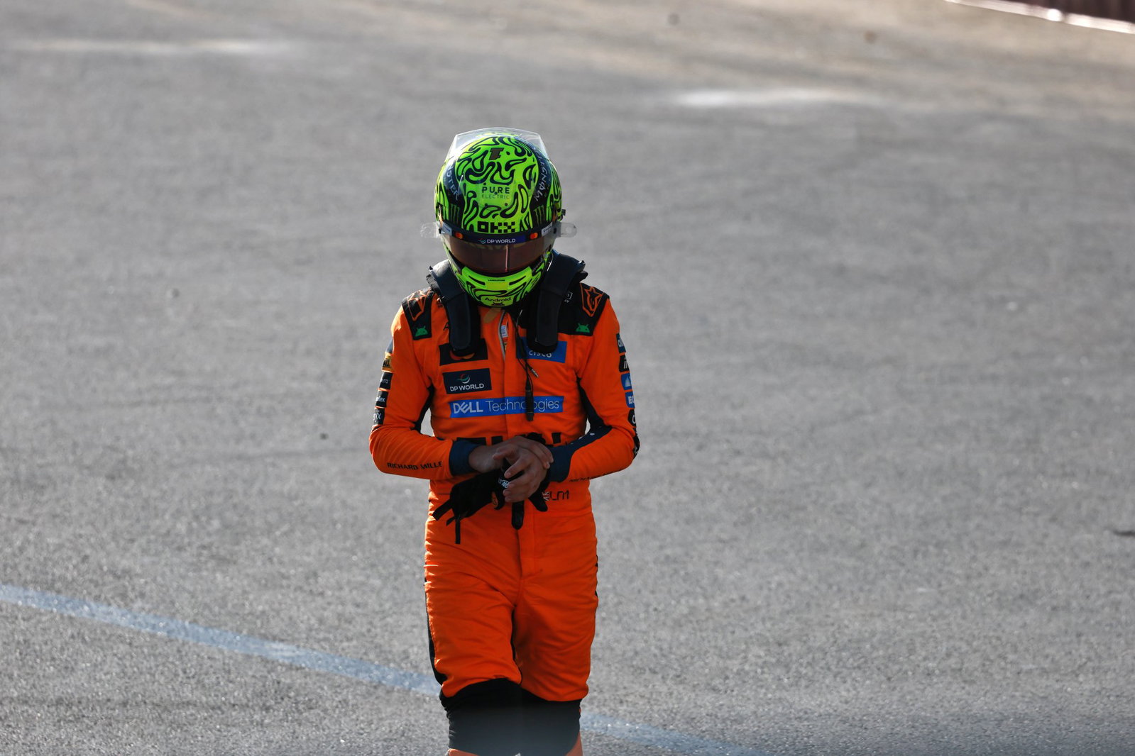 Lando Norris was also taken out in the melee