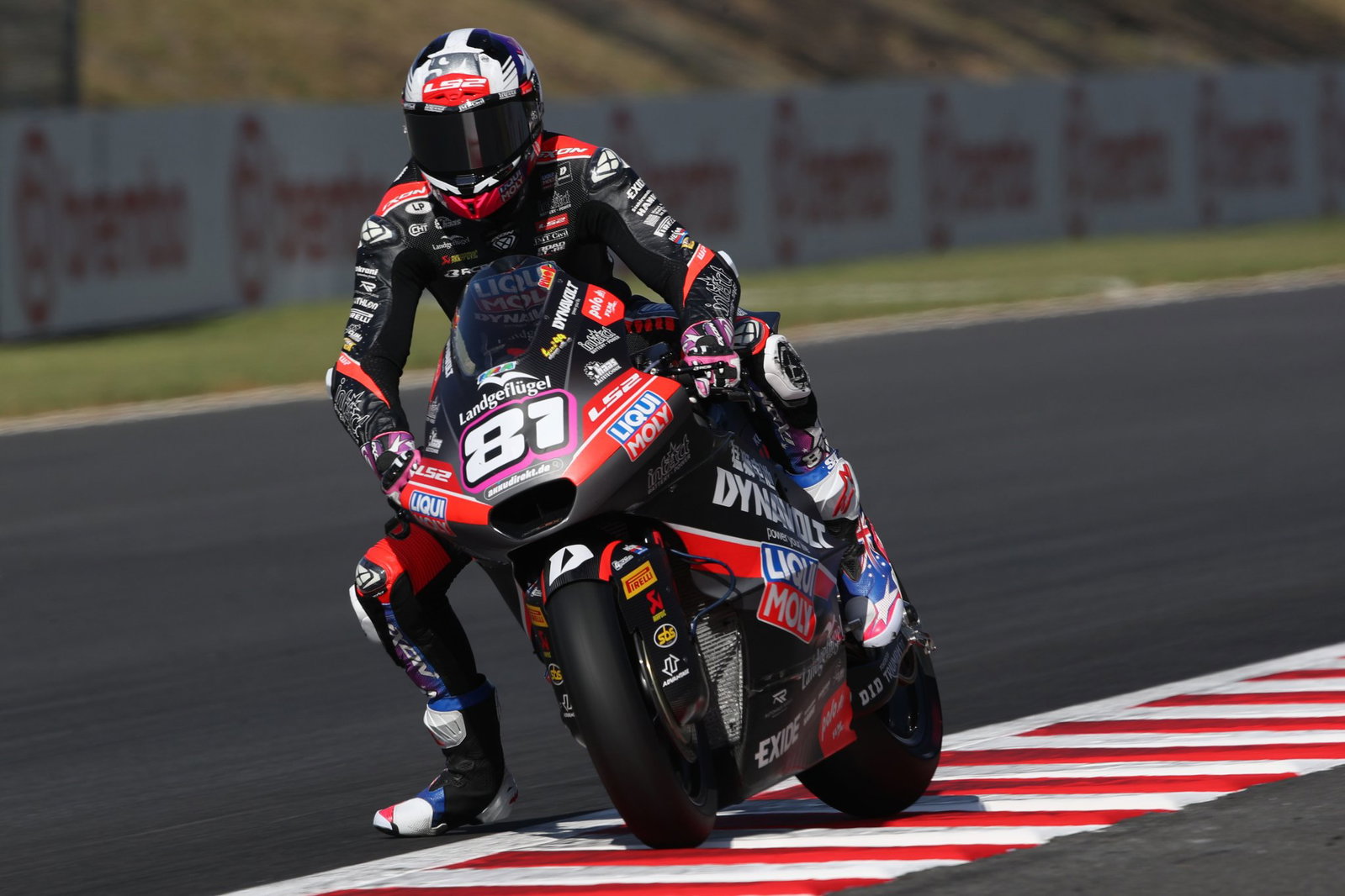 Senna Agius, 2026 Moto2 Japanese Grand Prix. Credit: Gold and Goose.