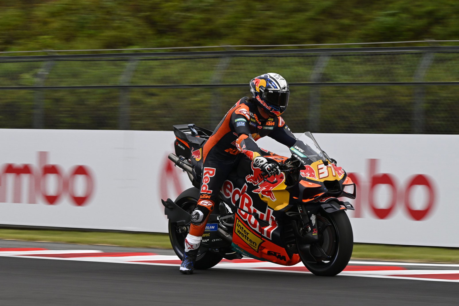 Pedro Acosta, 2026 MotoGP Japanese Grand Prix. Credit: Gold and Goose.