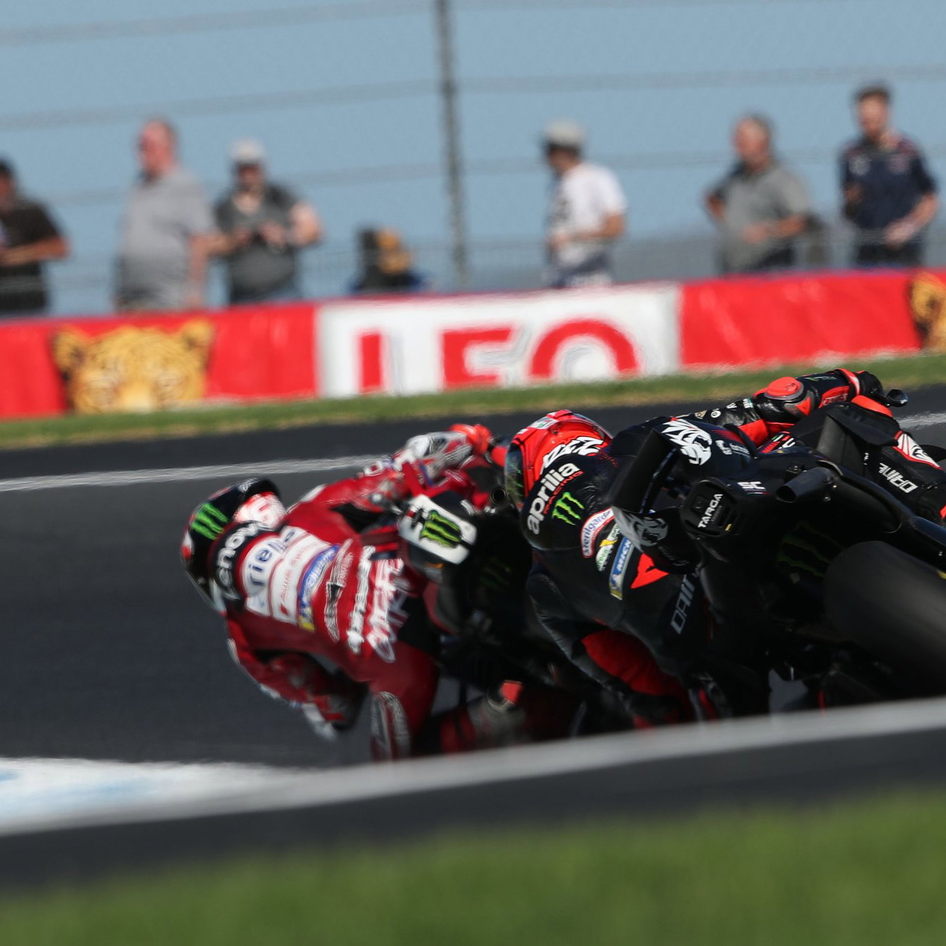 Marco Bezzecchi, 2026 Australian MotoGP