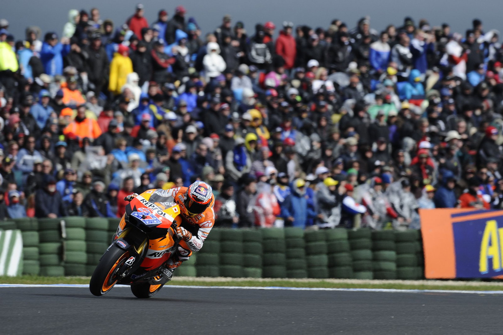 Casey Stoner, 2011 MotoGP Australian Grand Prix. Credit: Gold and Goose.
