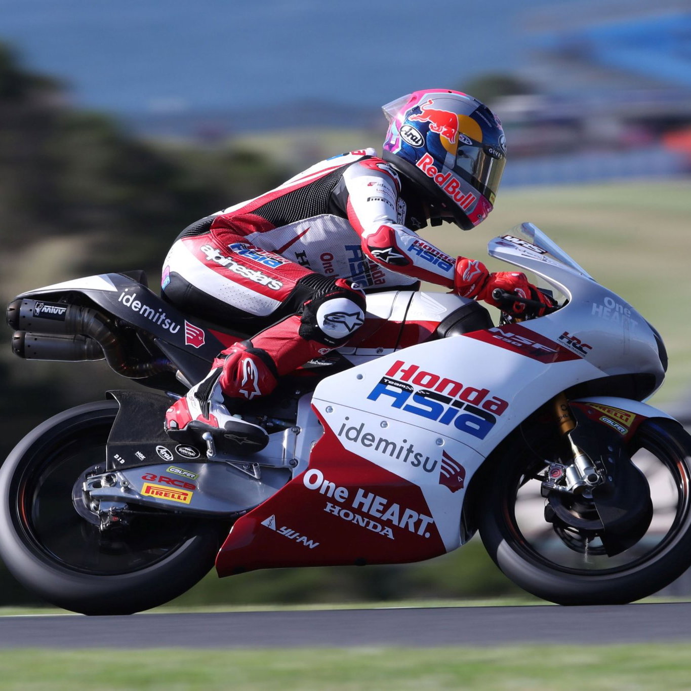 Veda Pratama, Moto3, Australia, 2026, Phillip Island