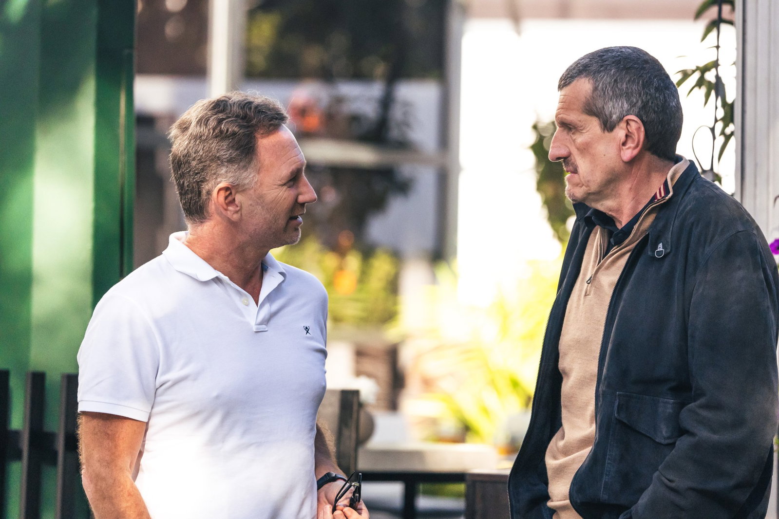 Guenther Steiner and Christian Horner