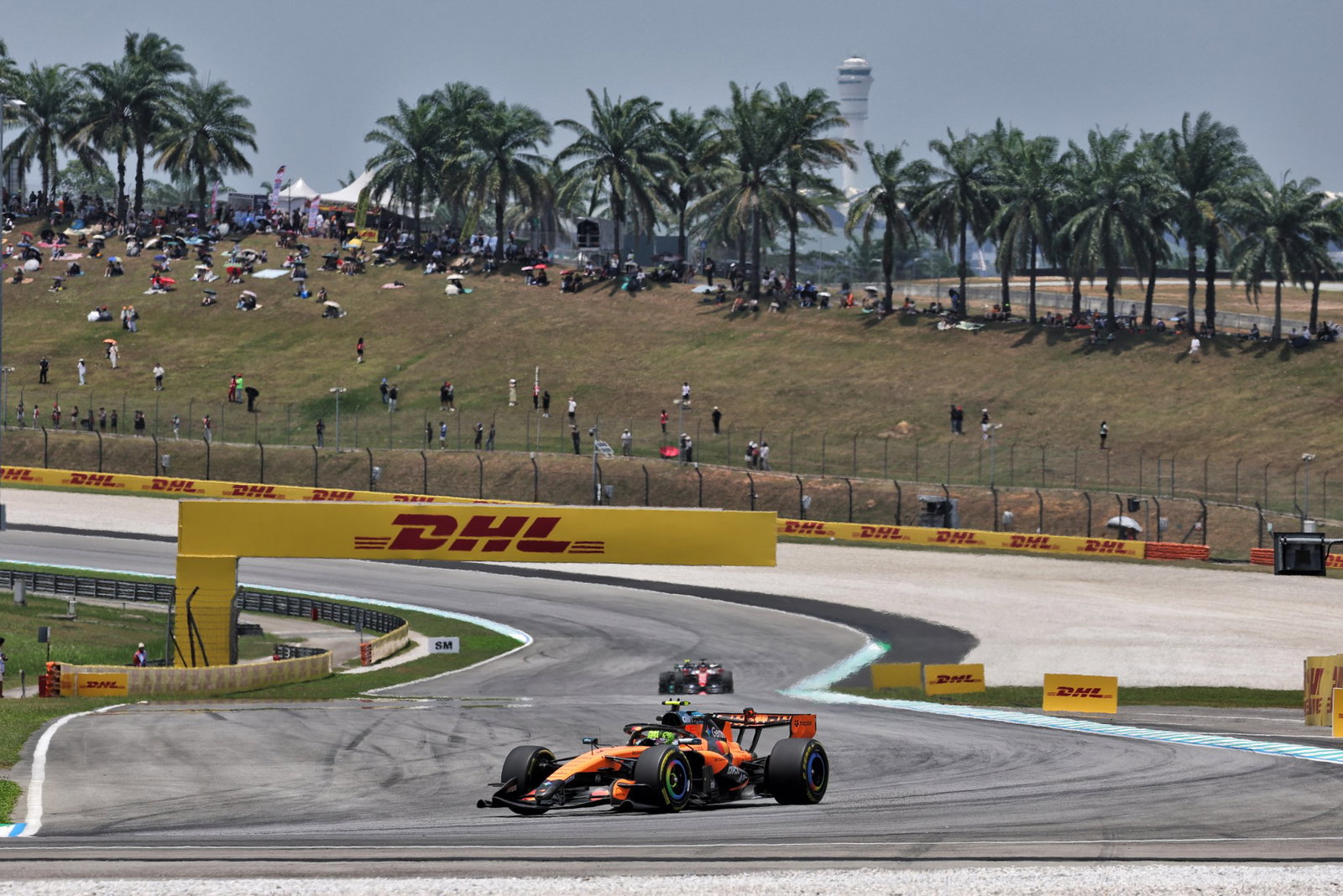 Lando Norris