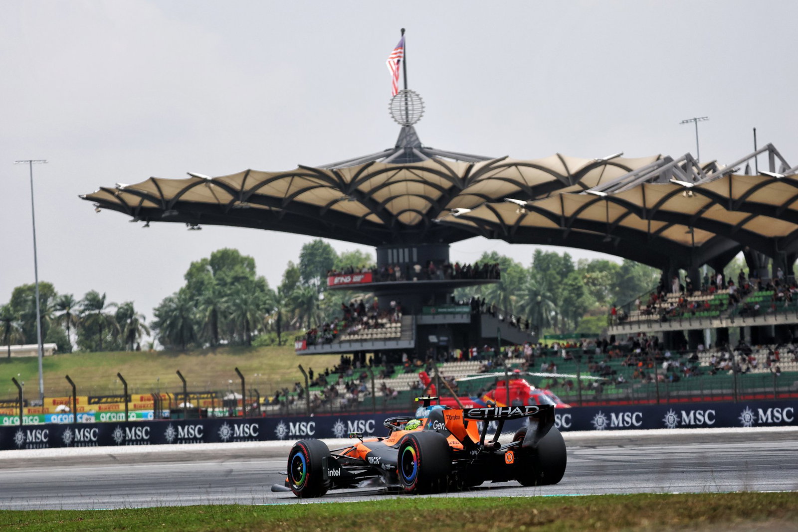 Lando Norris