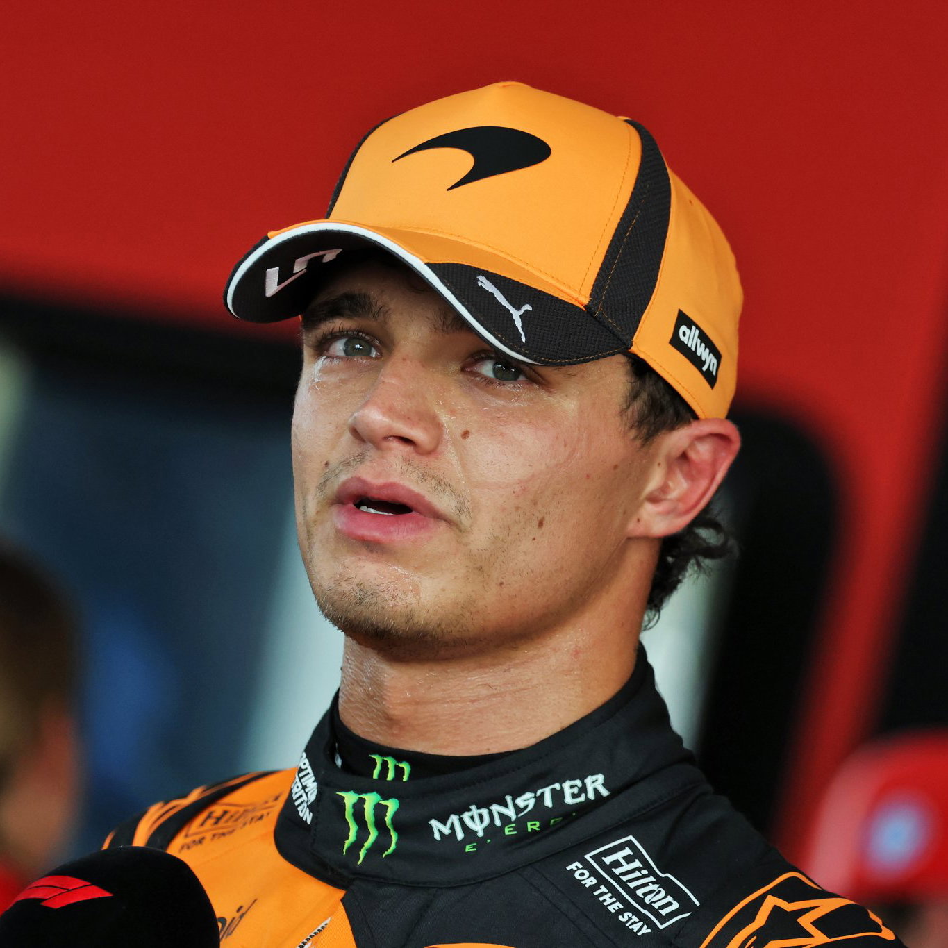Lando Norris