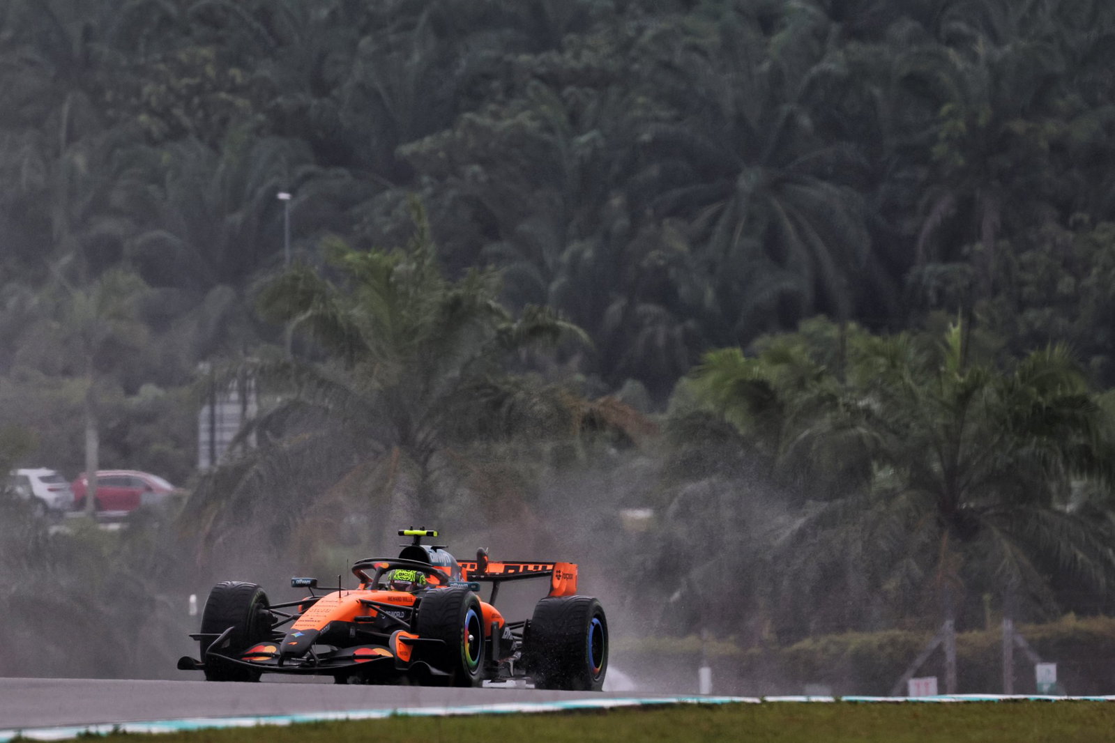 Lando Norris