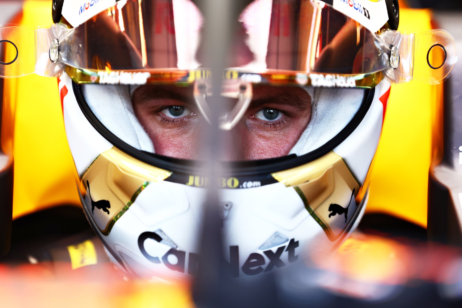 Max Verstappen Red Bull
