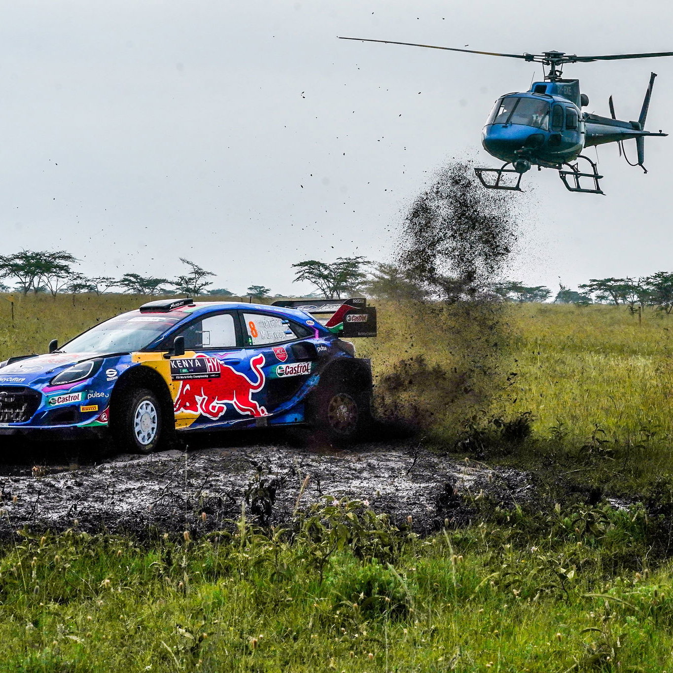 Tanak believes Mexico will help gravel prowess in Puma 