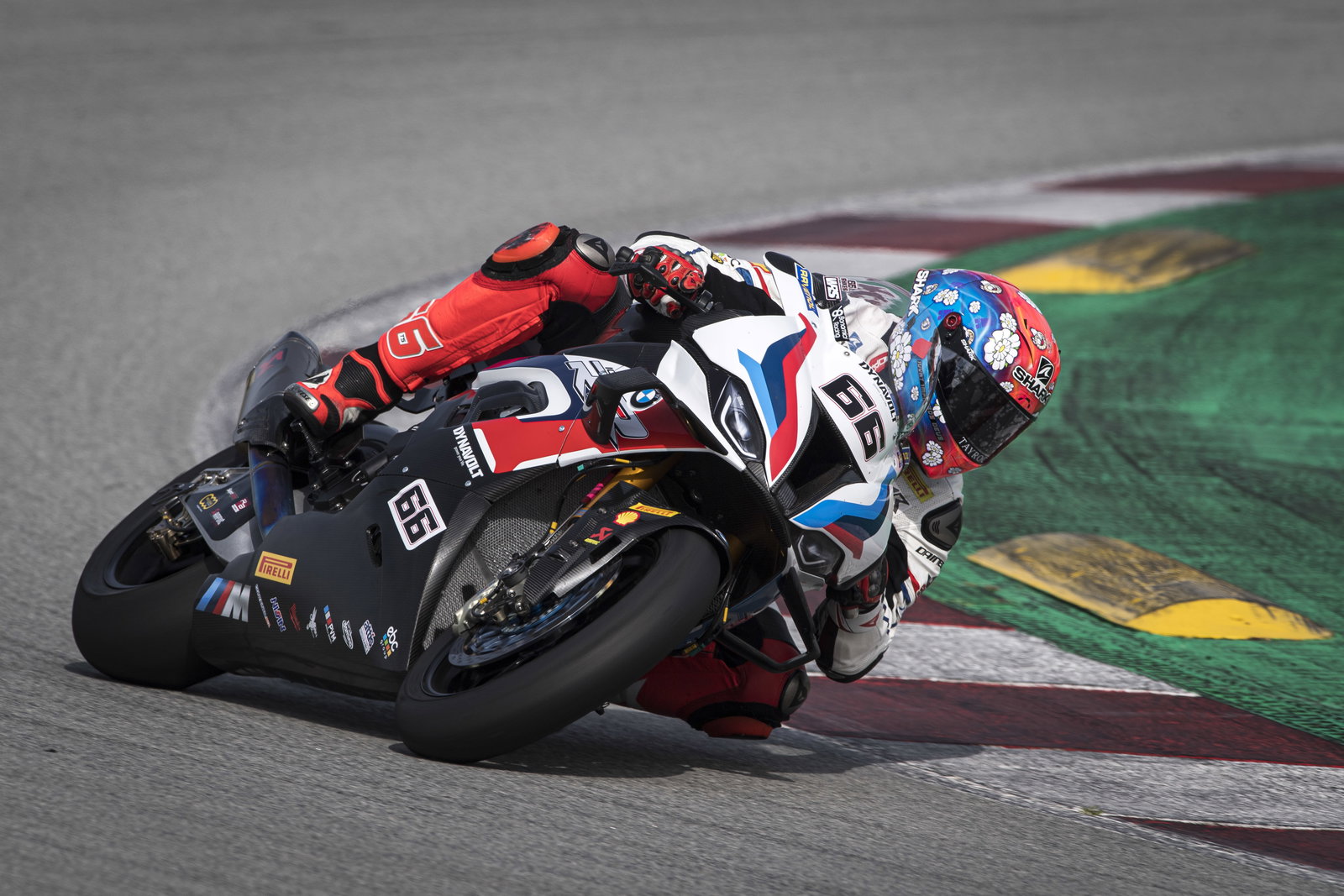 Garett Gerloff, Calon Bintang Baru World Superbike?