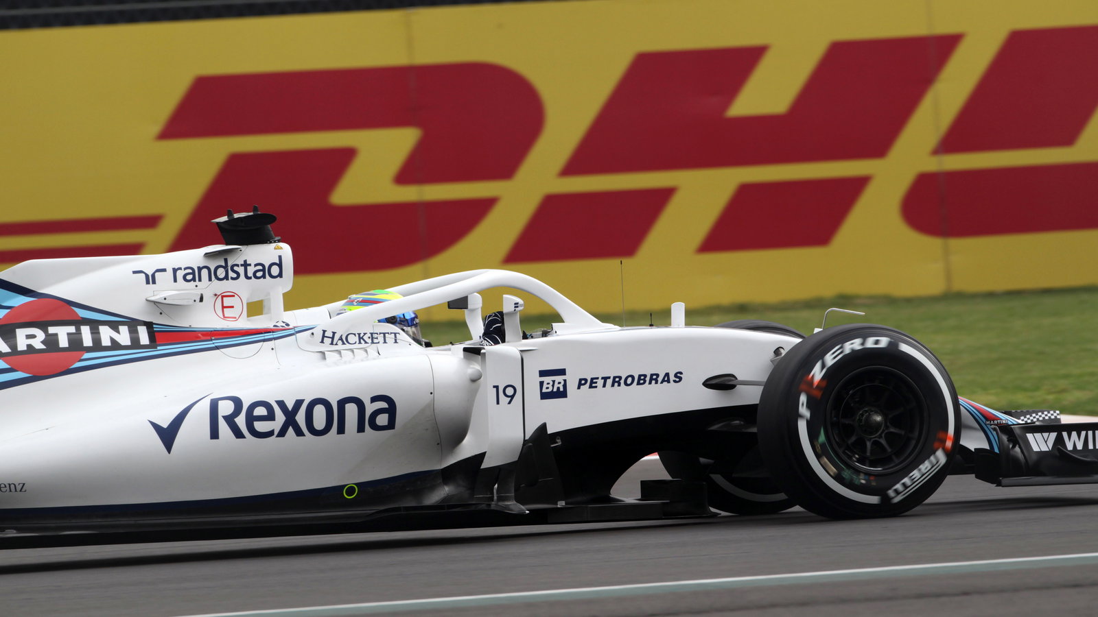 Williams, Halo,