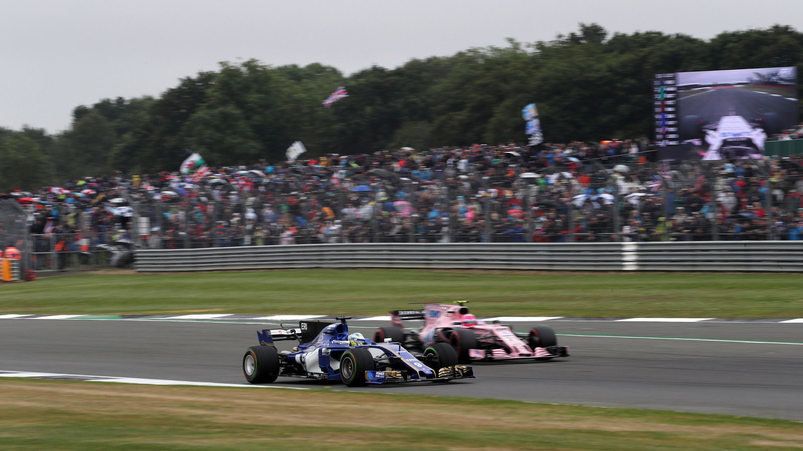 Force India, Sauber,