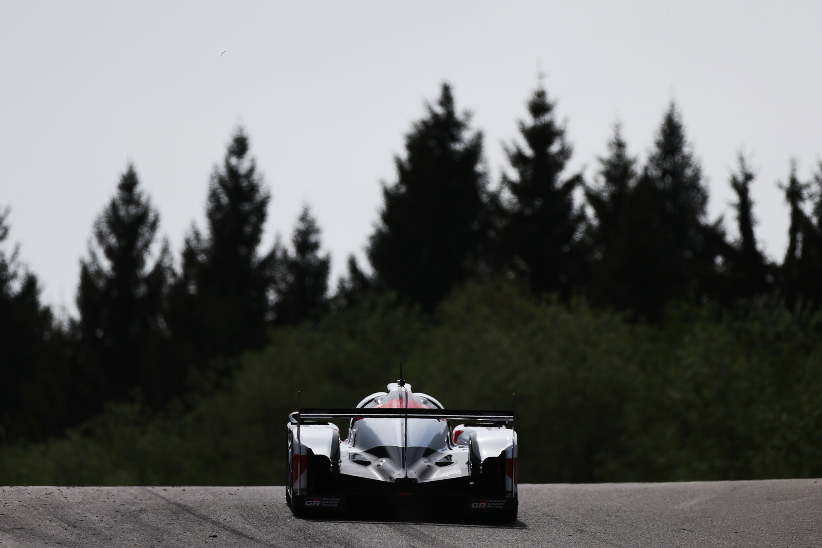 How Fernando Alonso’s legend will grow through his WEC adventure 