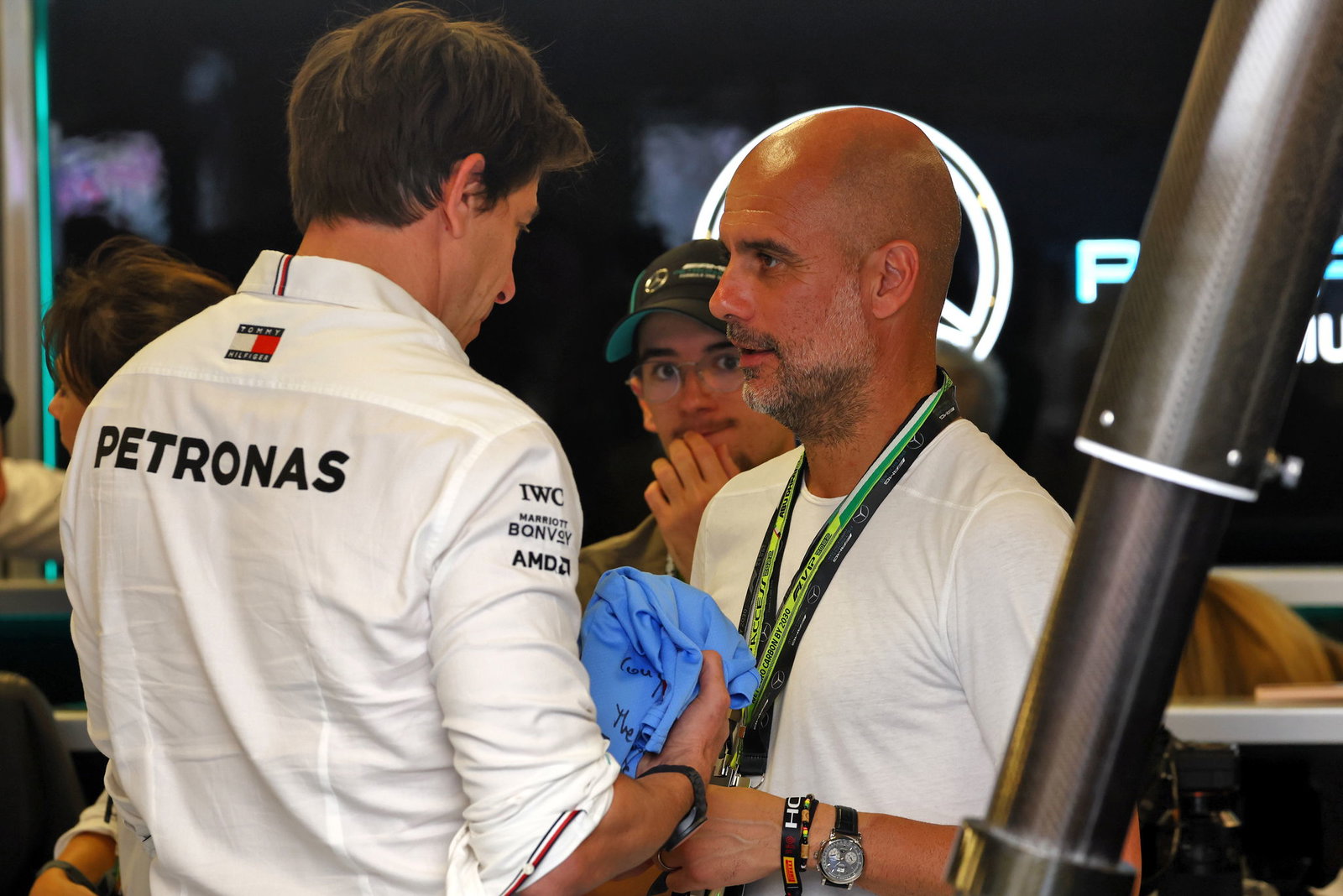 Formulino, the legendary F1 cat who tormented Sebastian Vettel has passed away