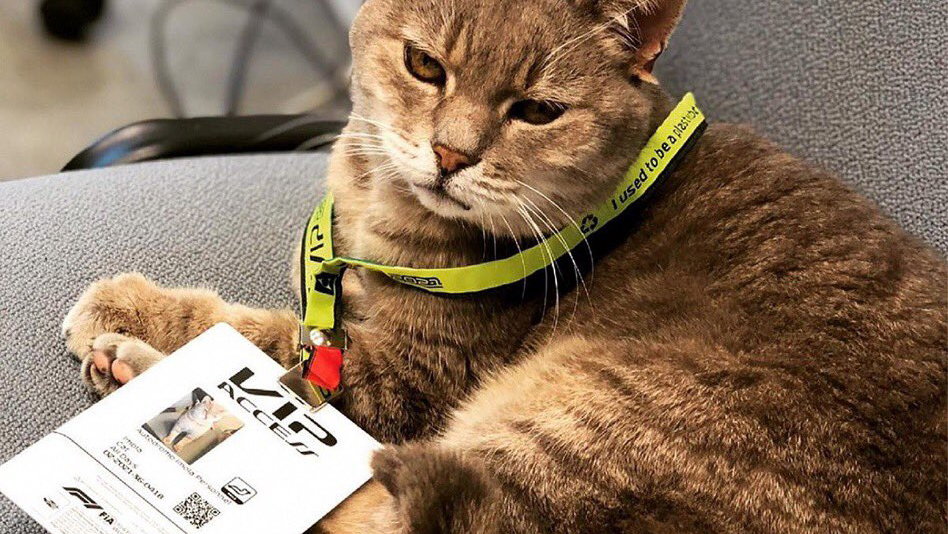 Formulino, F1 Imola Cat
