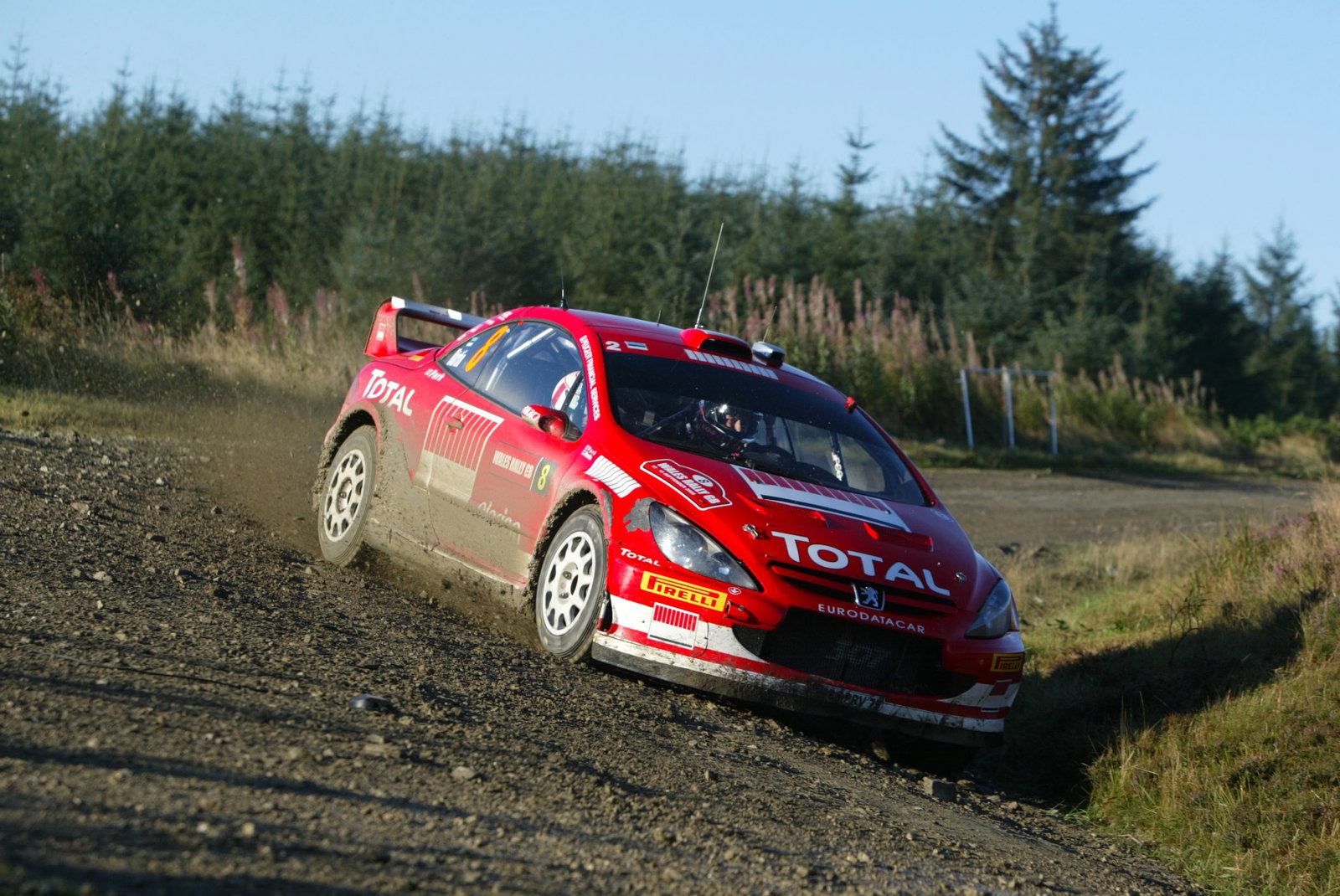 Markko Martin / Michael Park - Peugeot 307 WRC