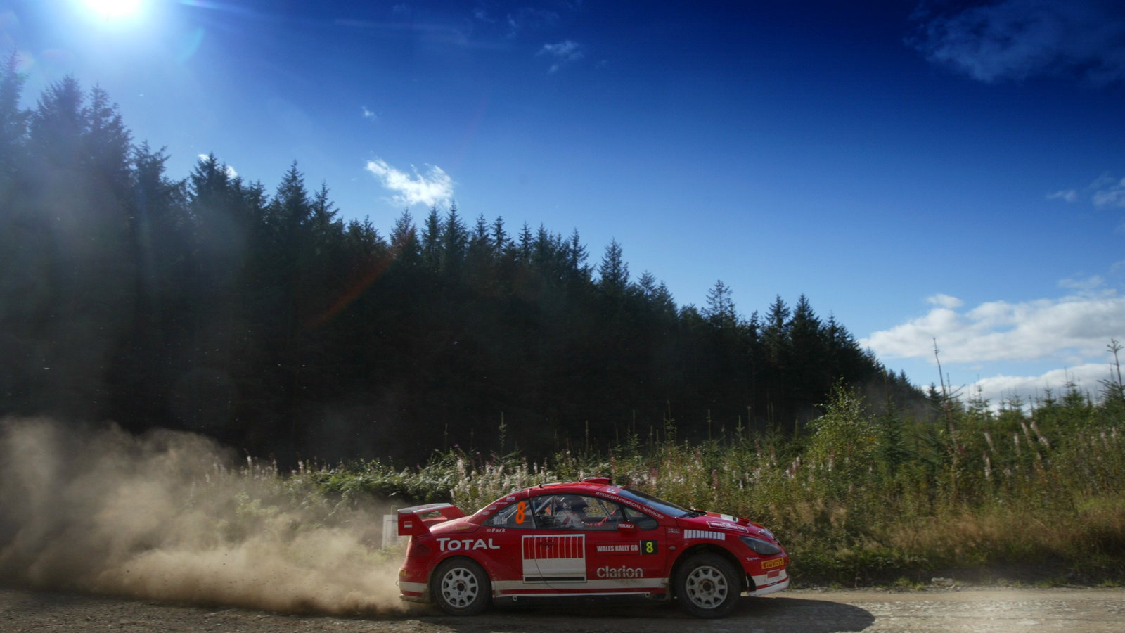 Markko Martin / Michael Park - Peugeot 307 WRC