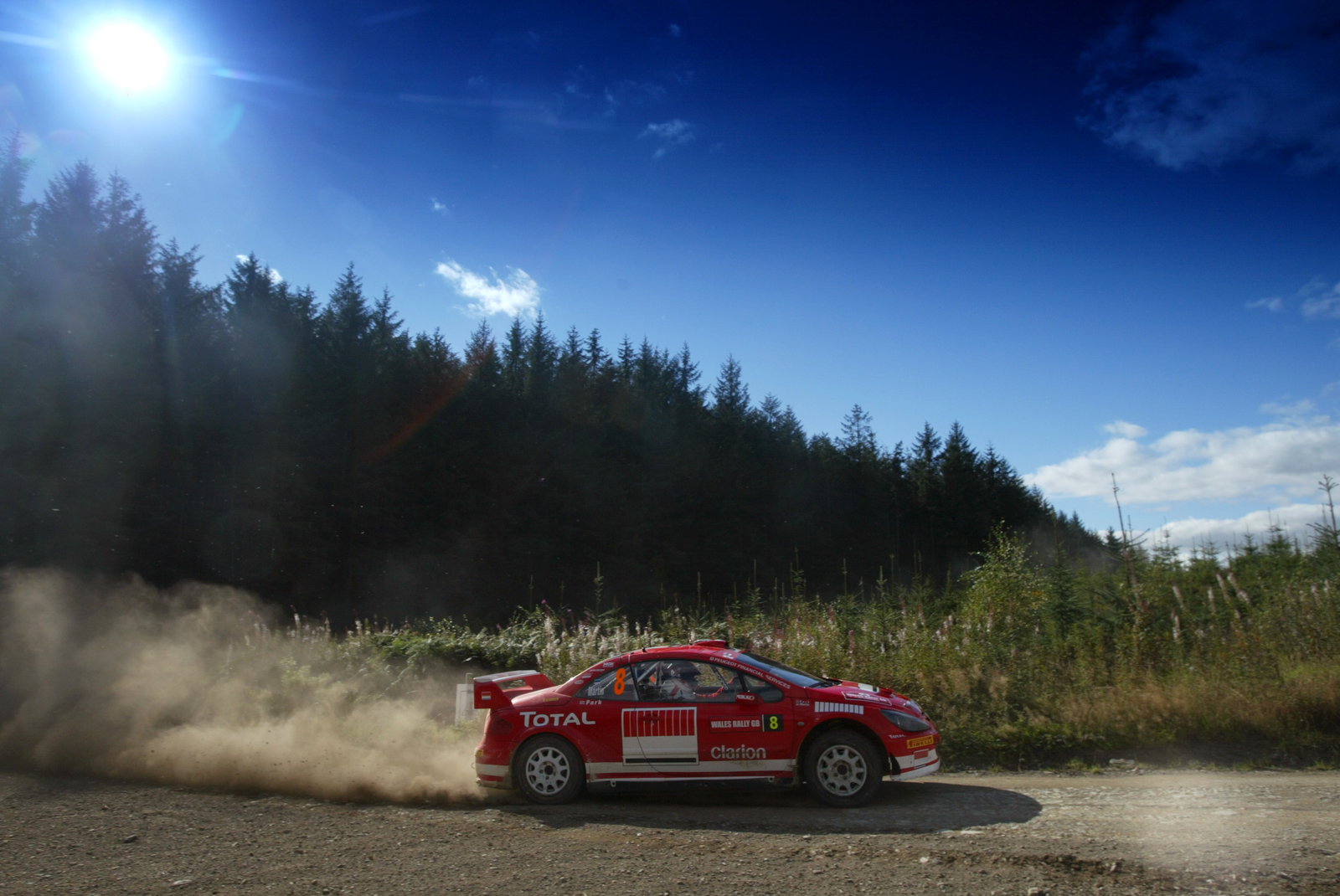 Markko Martin / Michael Park - Peugeot 307 WRC