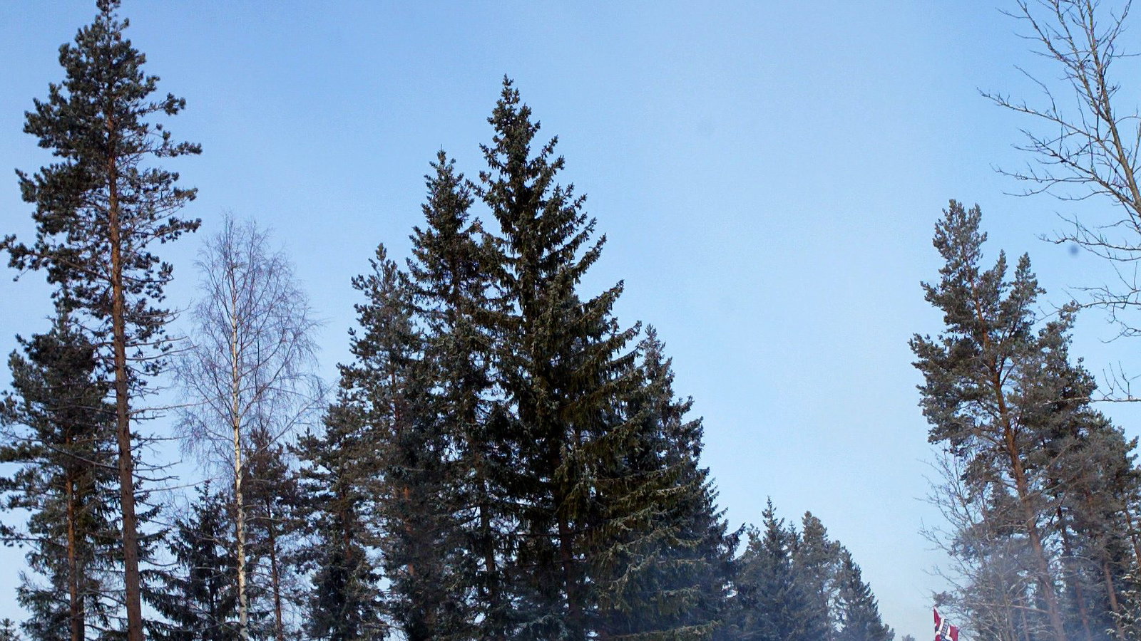 Petter Solberg / Phil Mills - Subaru WRT Impreza WRC 2006