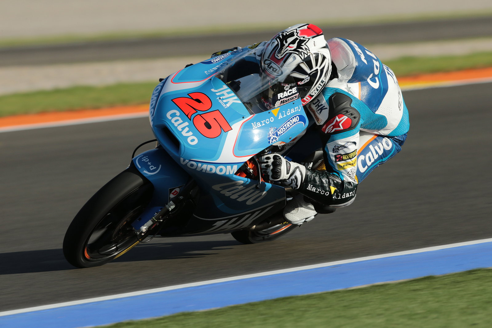 Vinales, Moto3, Valencia MotoGP 2013