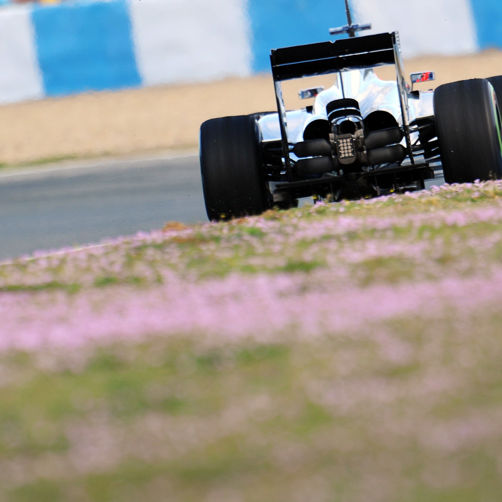 Jenson Button (GBR) McLaren MP4-29.29.01.2014. Formula One Testing, Day Two, Jerez, Spain.