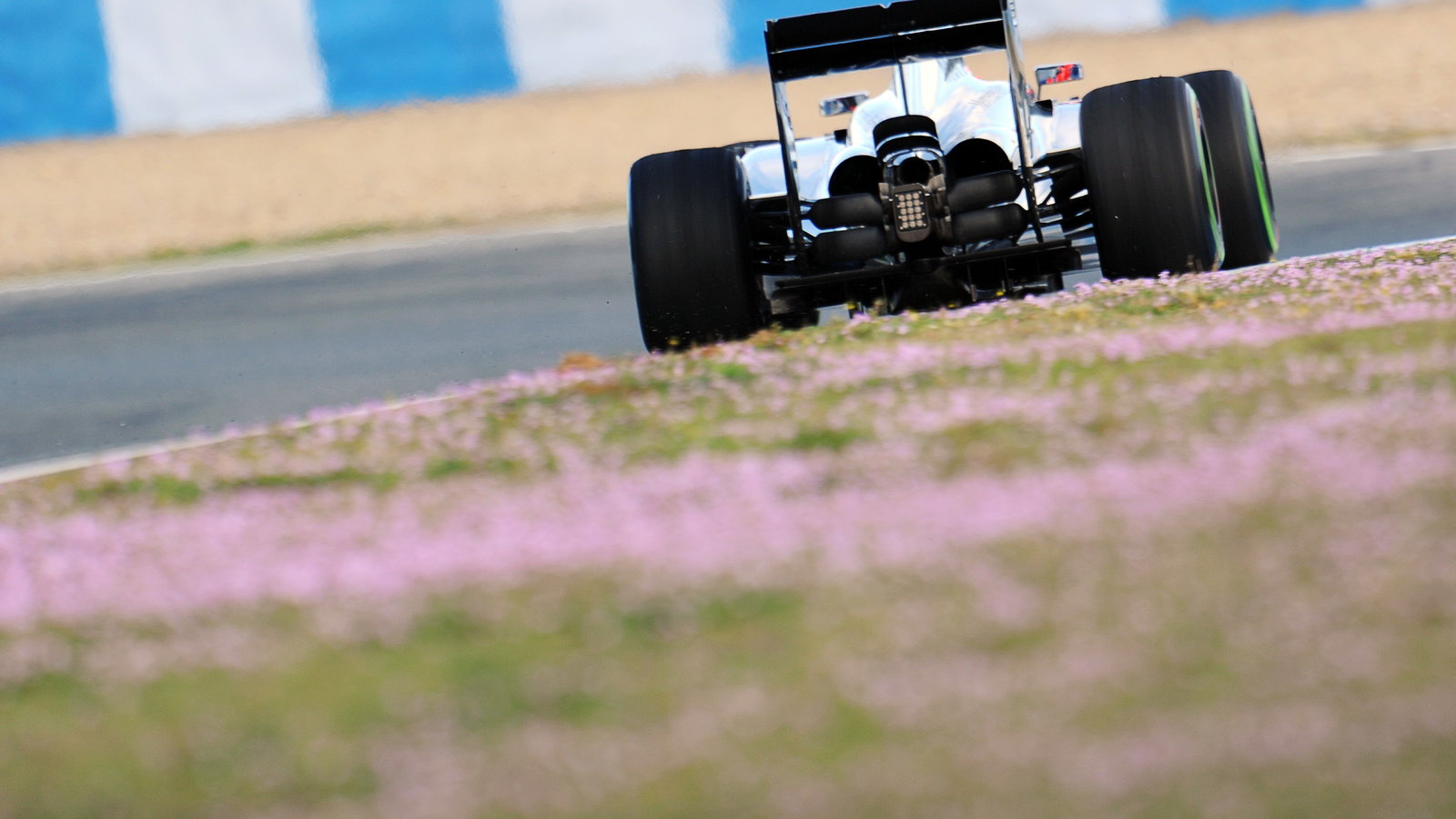 Jenson Button (GBR) McLaren MP4-29.29.01.2014. Formula One Testing, Day Two, Jerez, Spain.