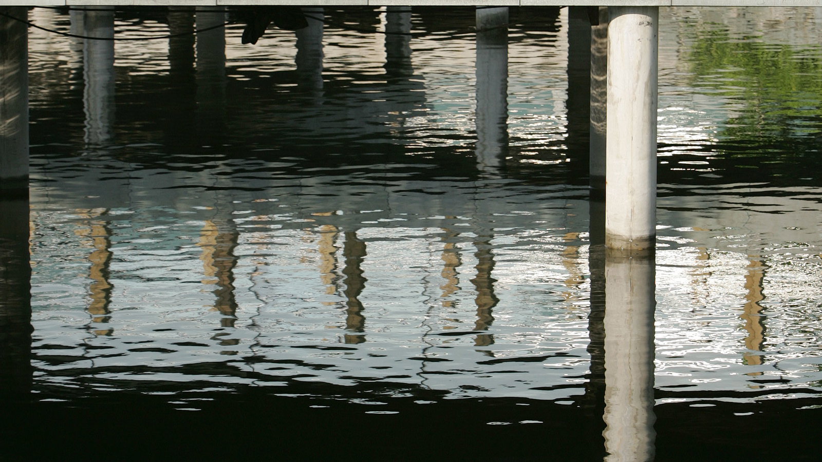 Melandri, Chinese MotoGP 2006