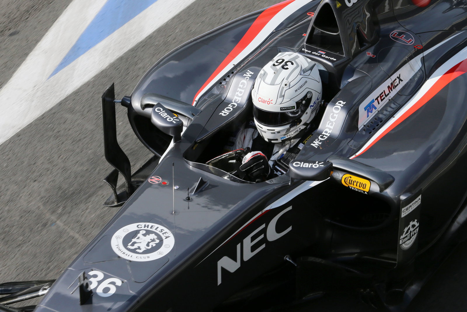 F1: My Race Weekend - Chief garage technician